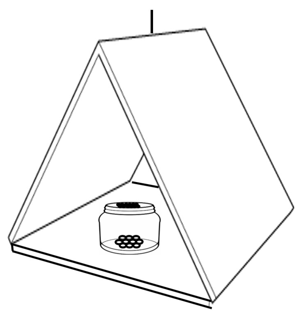 Insects 16 00013 g001