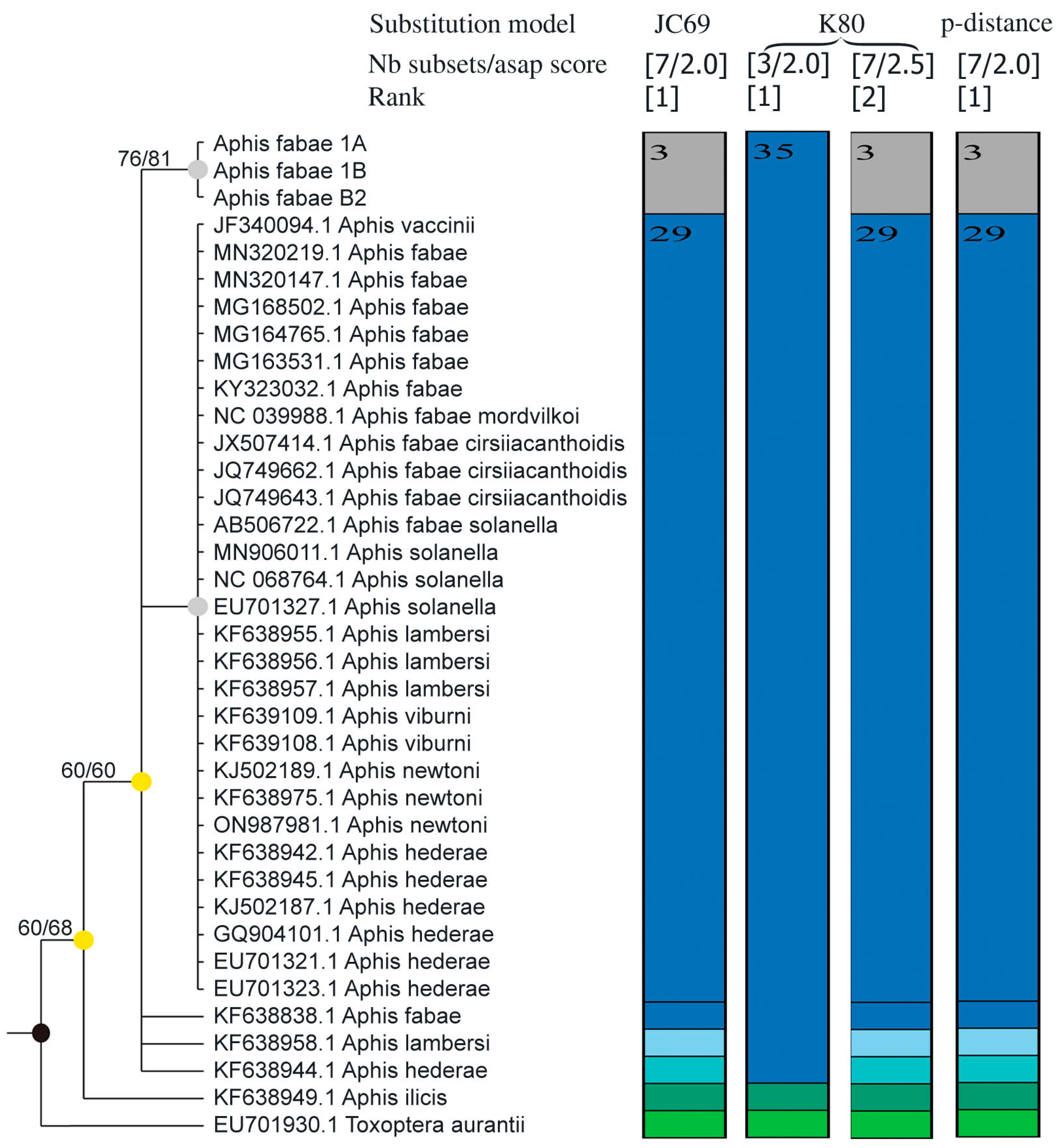 Insects 16 00019 g001