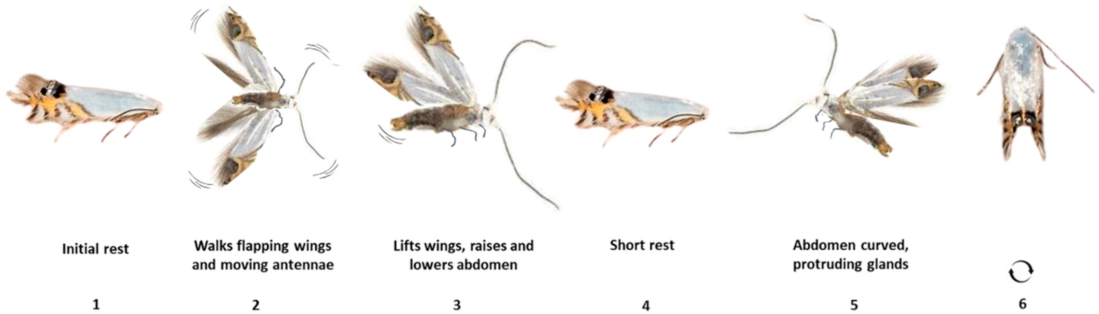 Insects 16 00032 g002