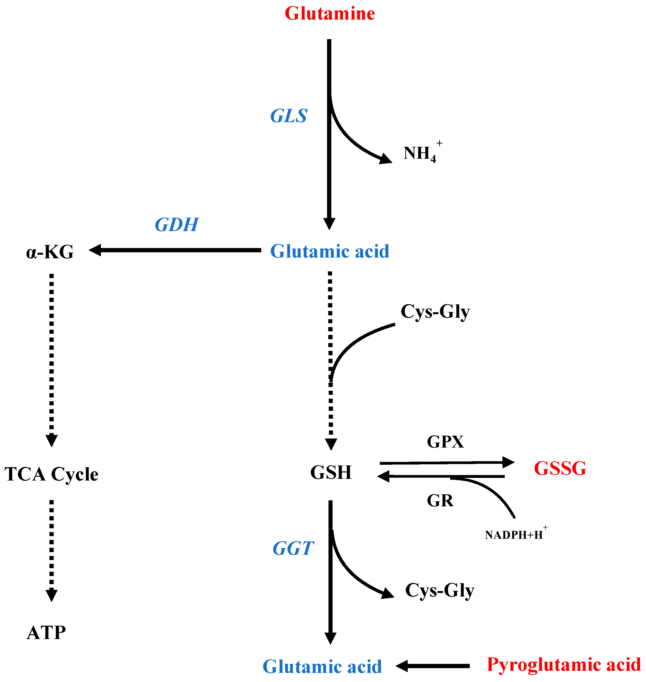 Insects 16 00037 g006