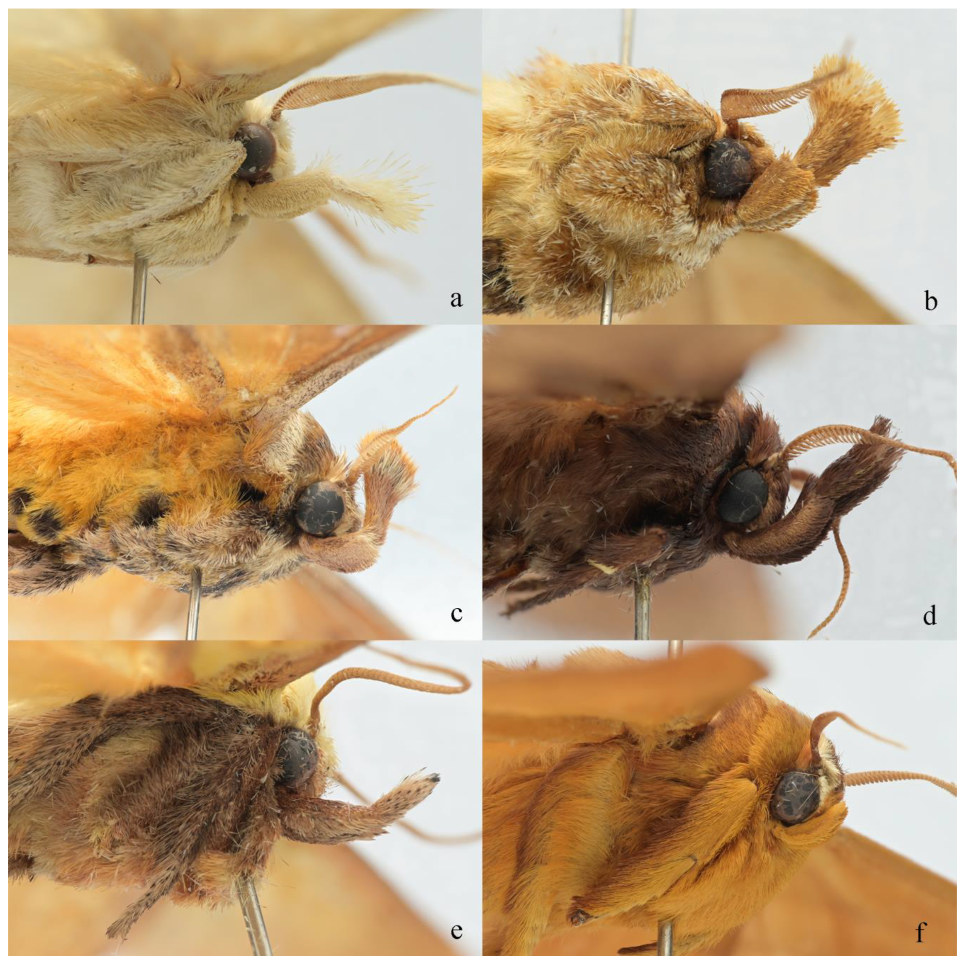 Insects 16 00041 g003