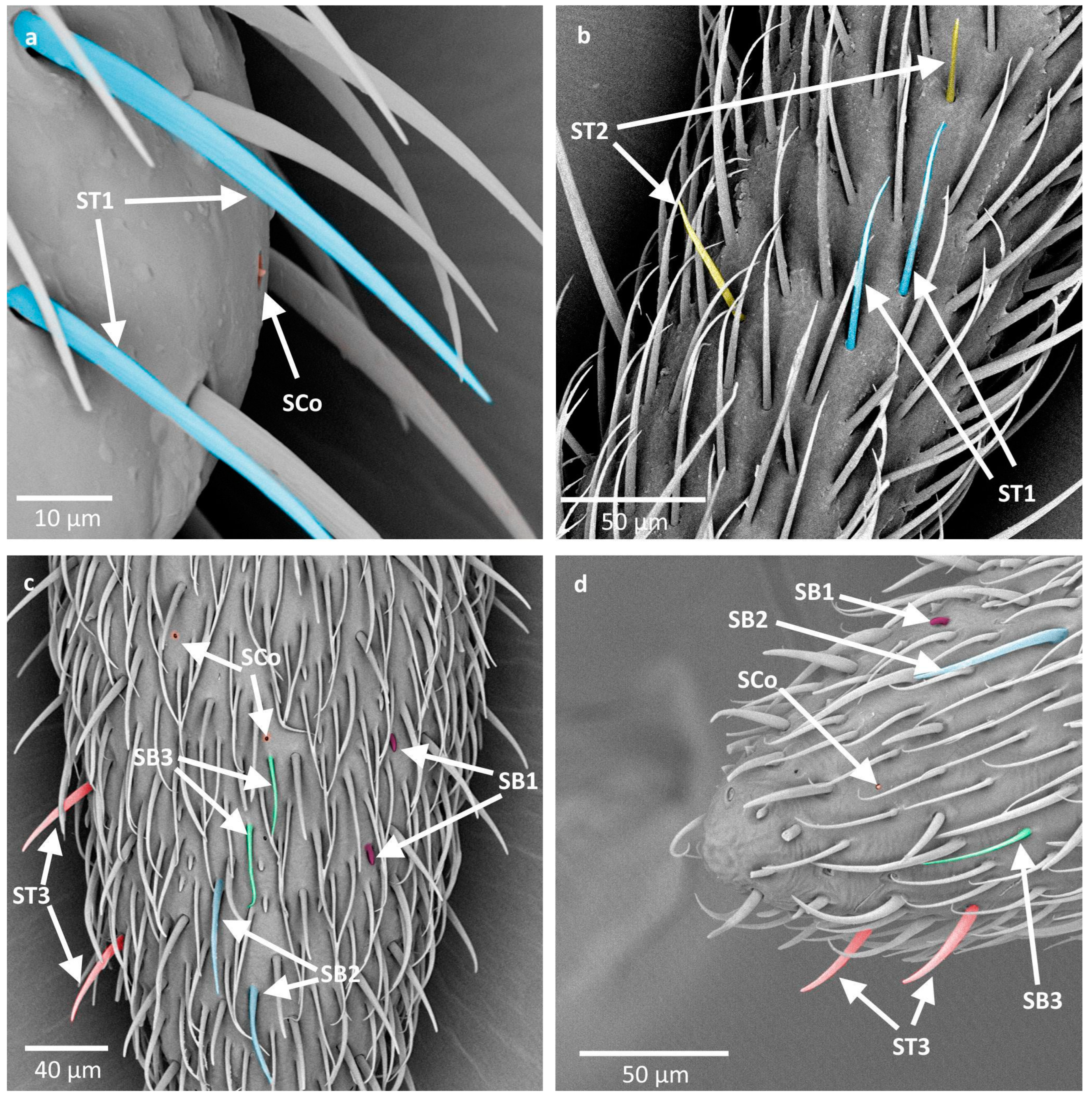 Insects 16 00044 g007