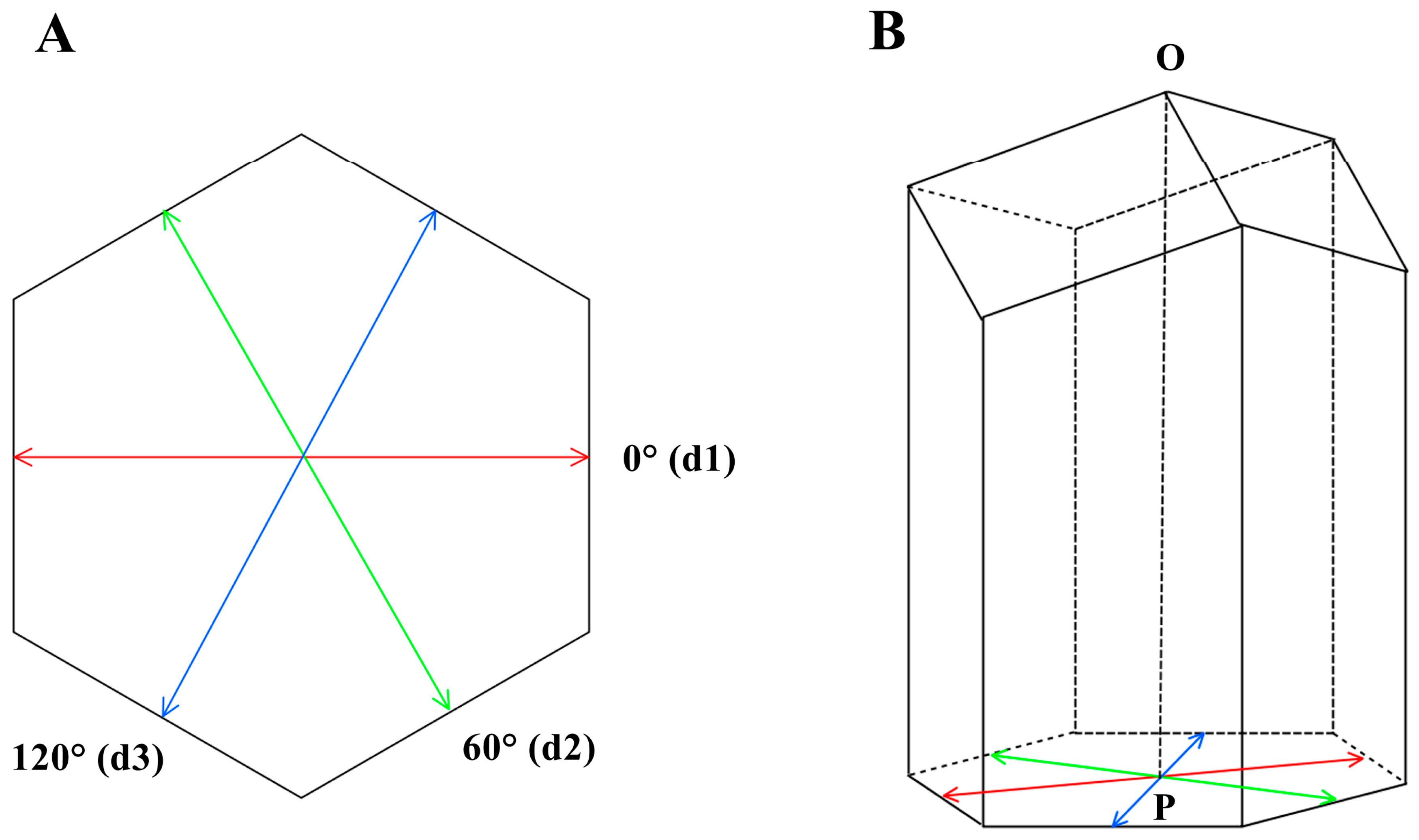 Insects 16 00052 g001