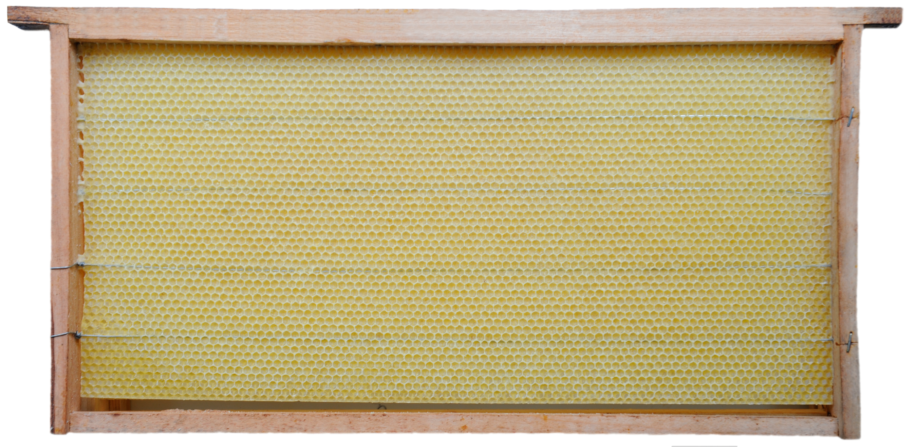 Insects 16 00052 g002