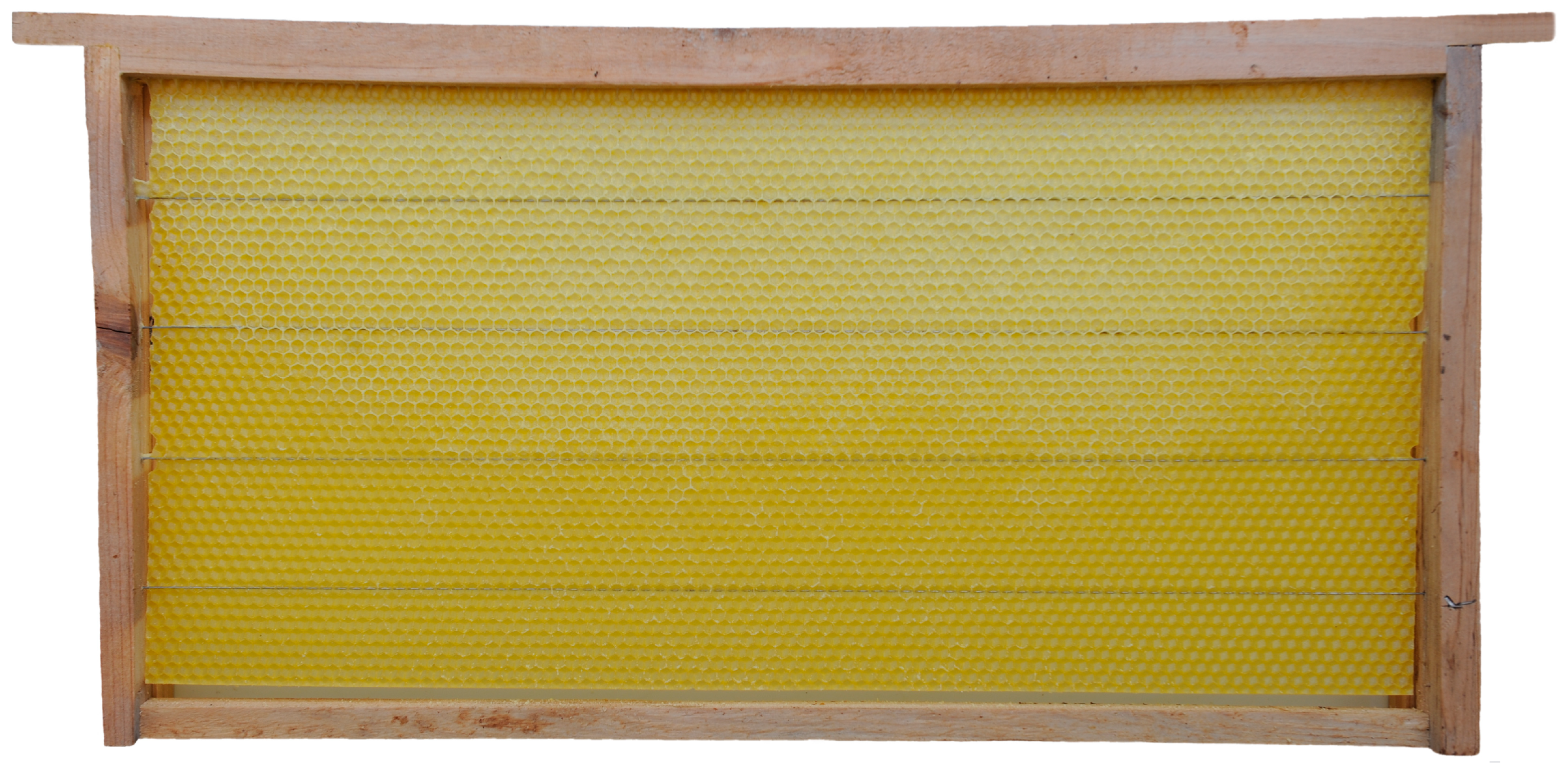 Insects 16 00052 g003