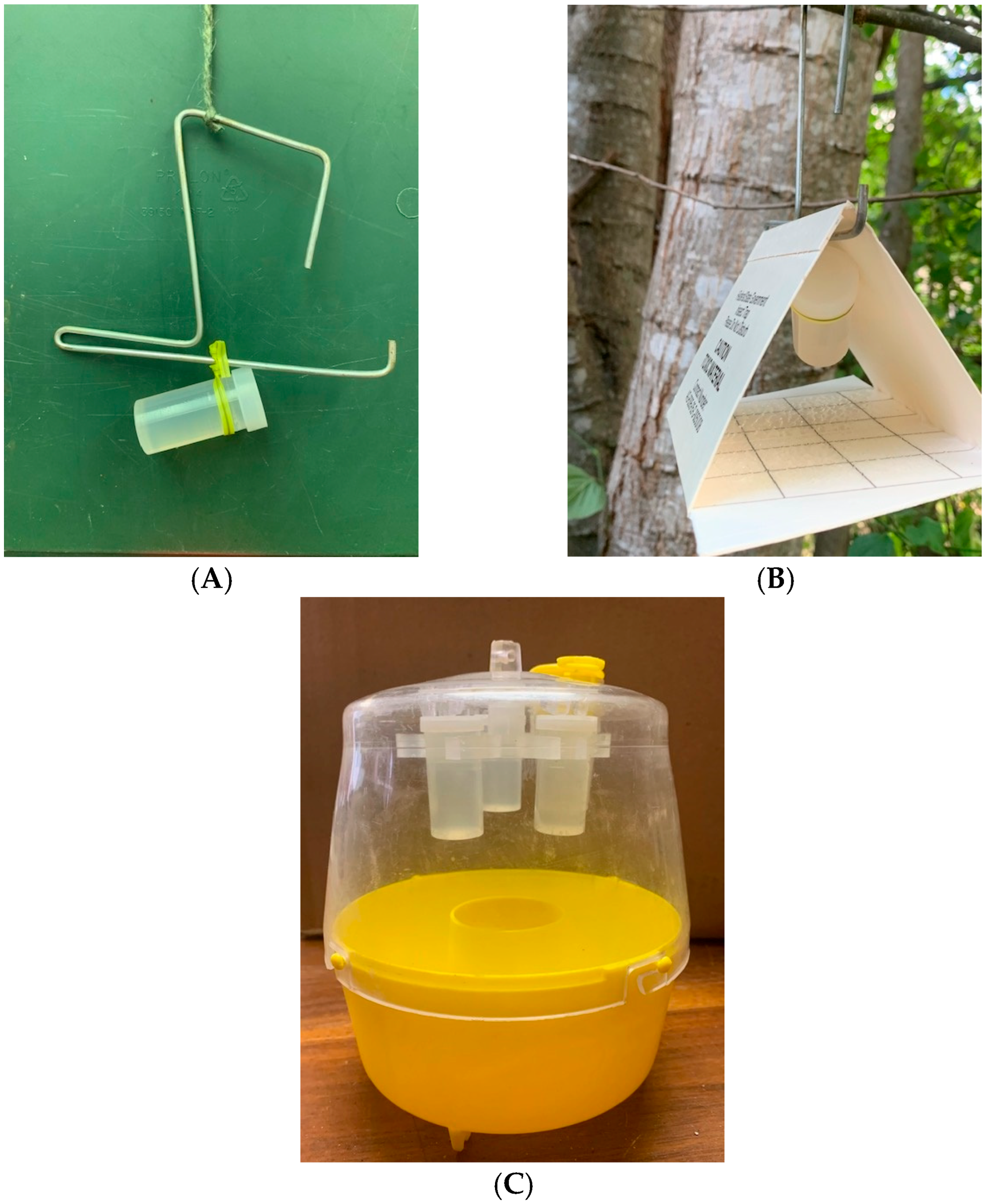 Insects 16 00053 g001