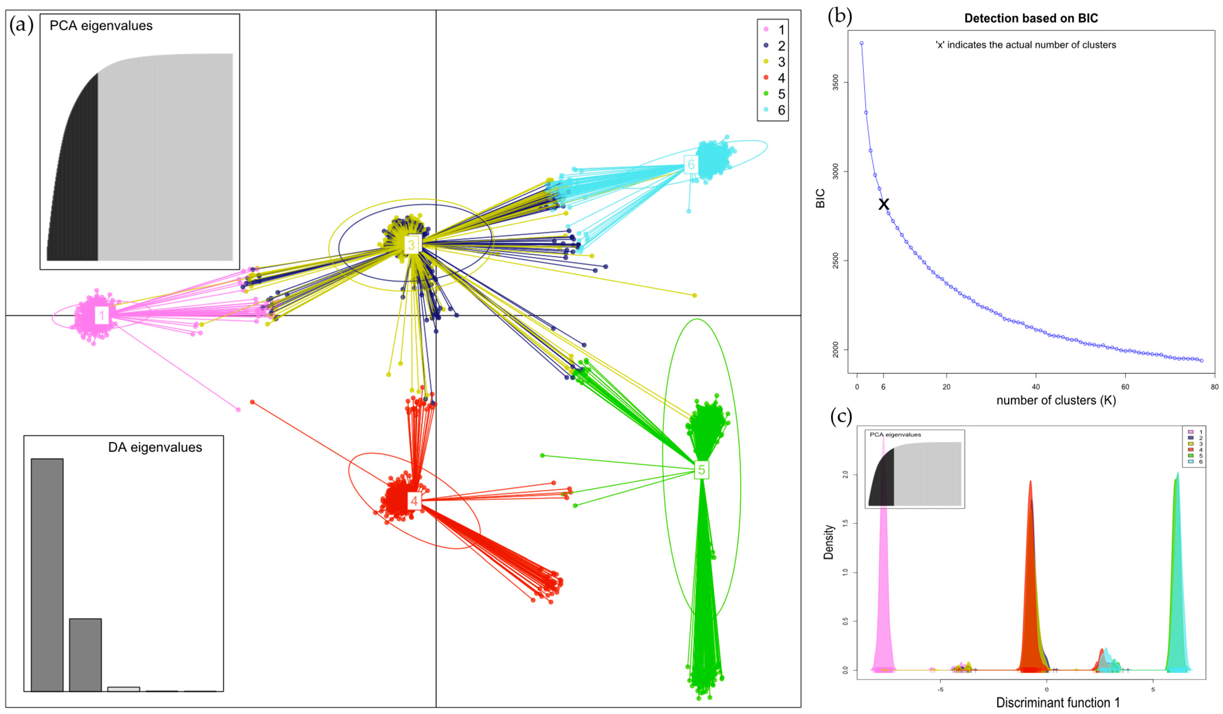 Insects 16 00055 g005