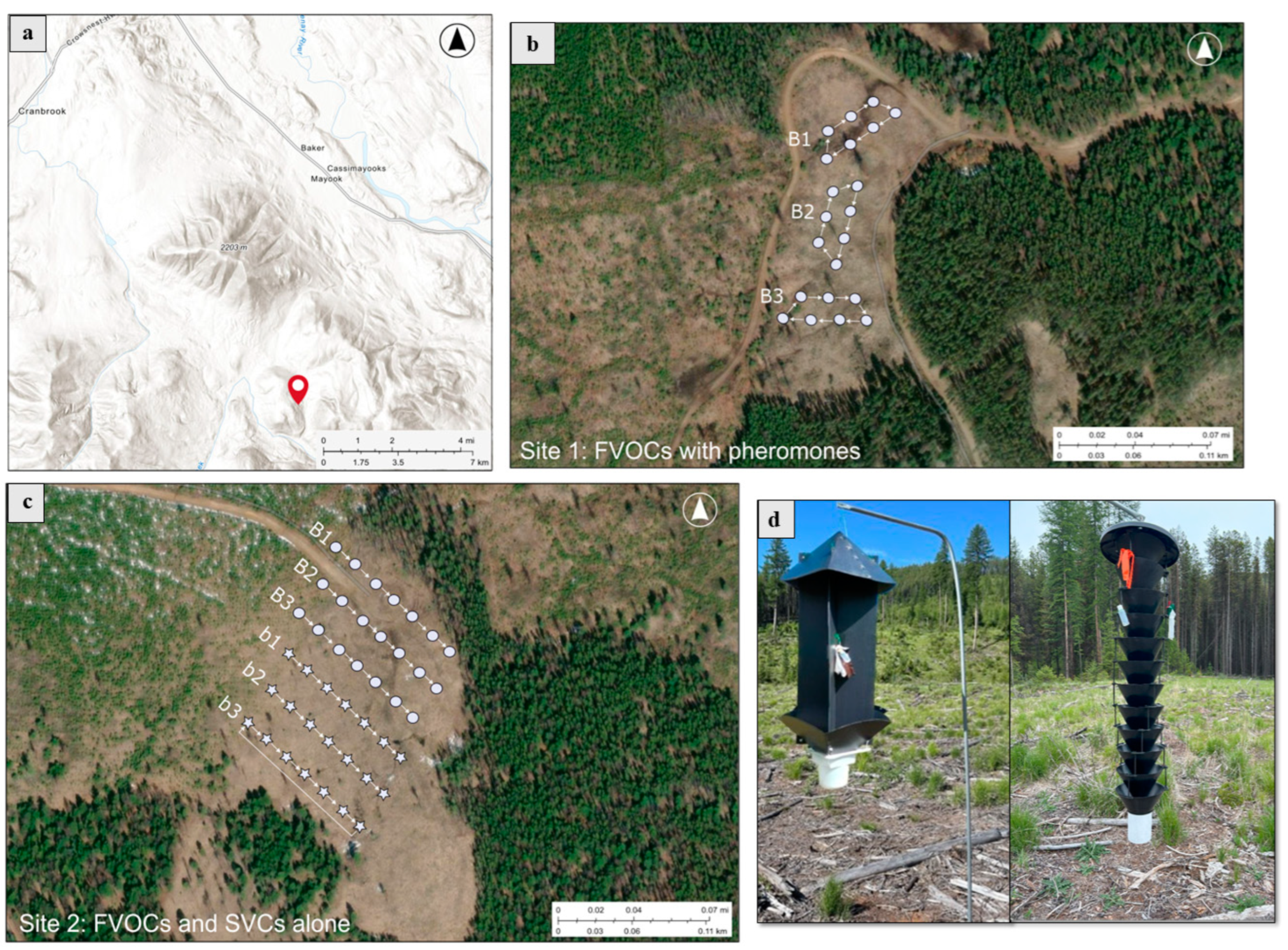 Insects 16 00057 g001