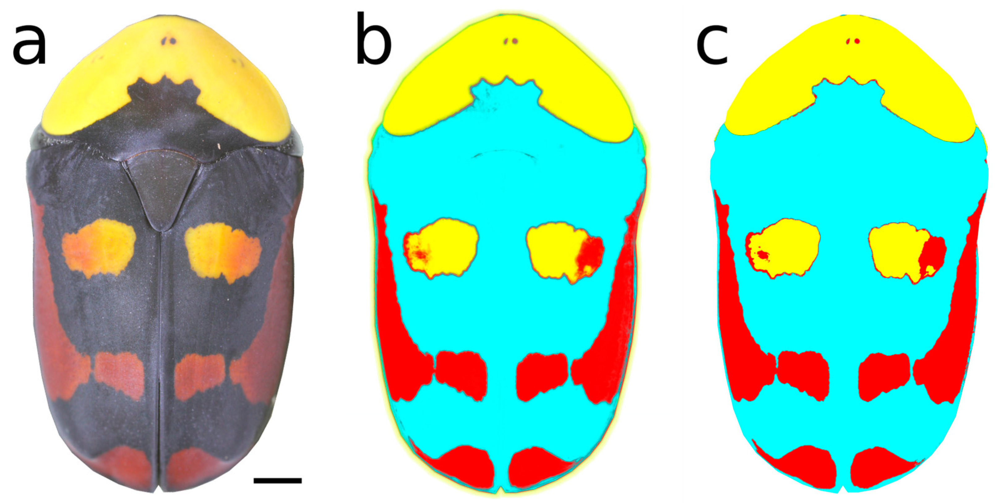 Insects 16 00061 g002