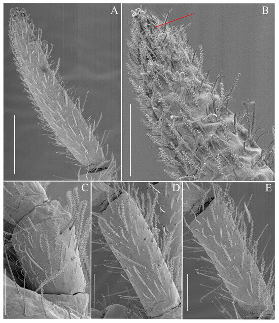 Insects 16 00080 g003