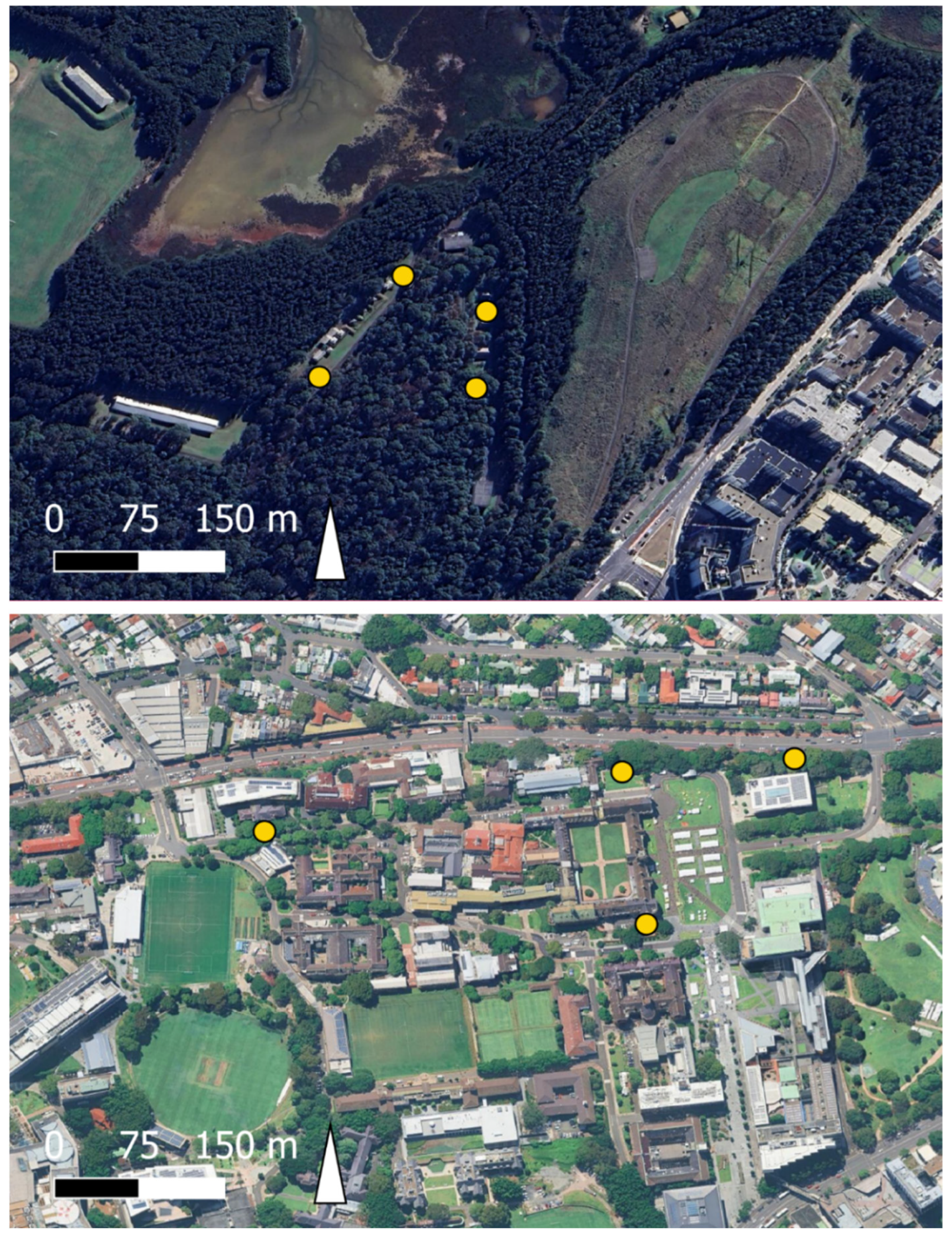 Insects 16 00090 g002