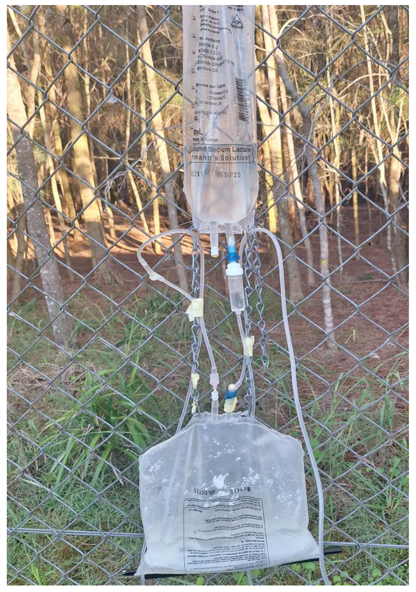 Insects 16 00090 g003