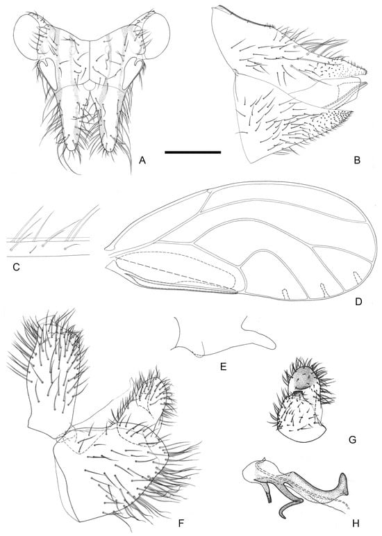 Insects 16 00099 g002