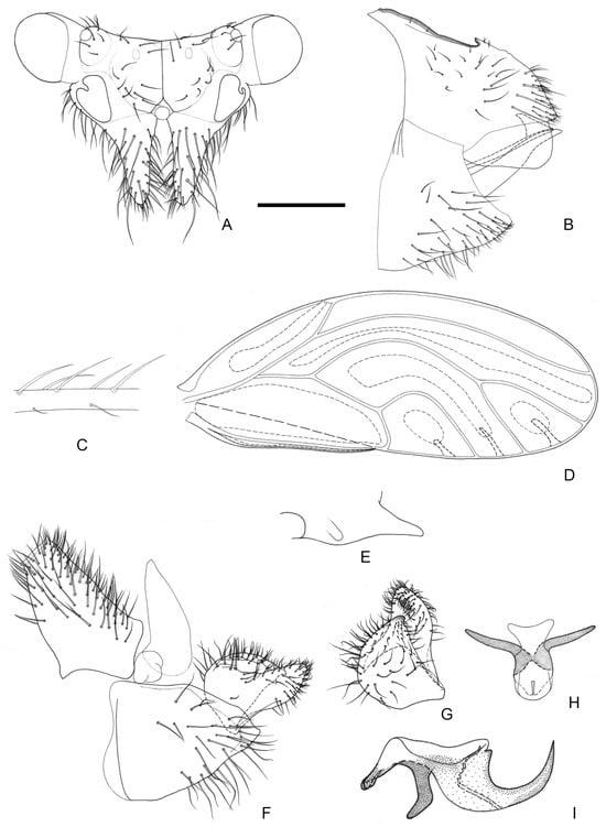 Insects 16 00099 g004