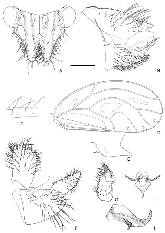 Insects 16 00099 g006