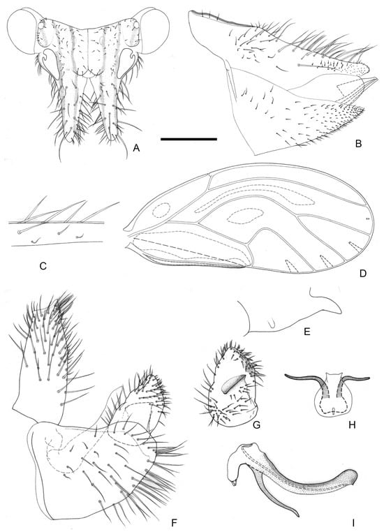 Insects 16 00099 g007