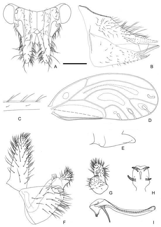 Insects 16 00099 g008