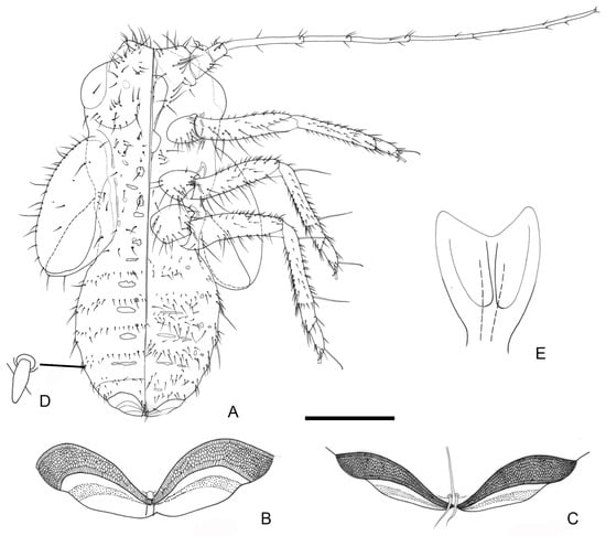 Insects 16 00099 g011