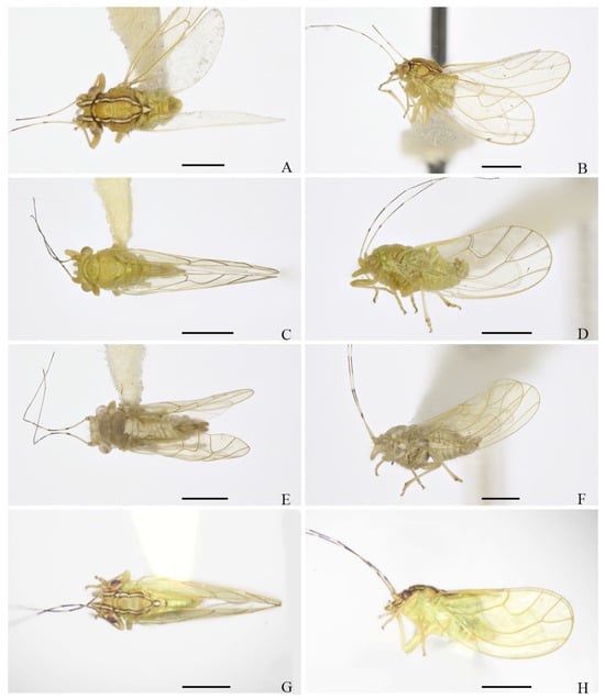 Insects 16 00099 g012