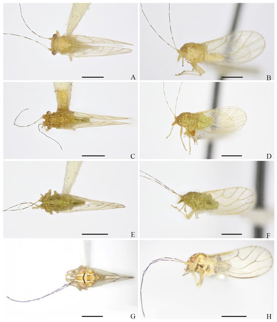 Insects 16 00099 g013