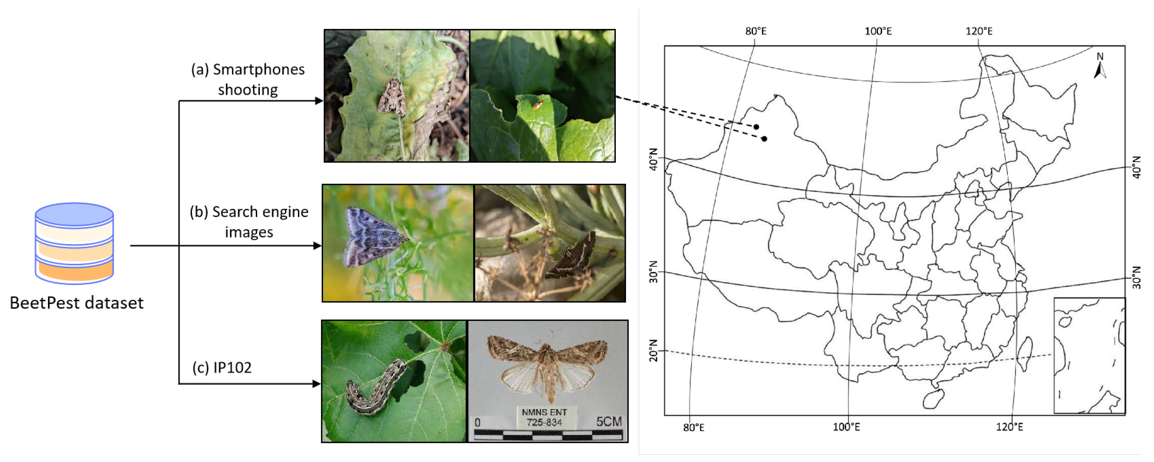 Insects 16 00102 g002