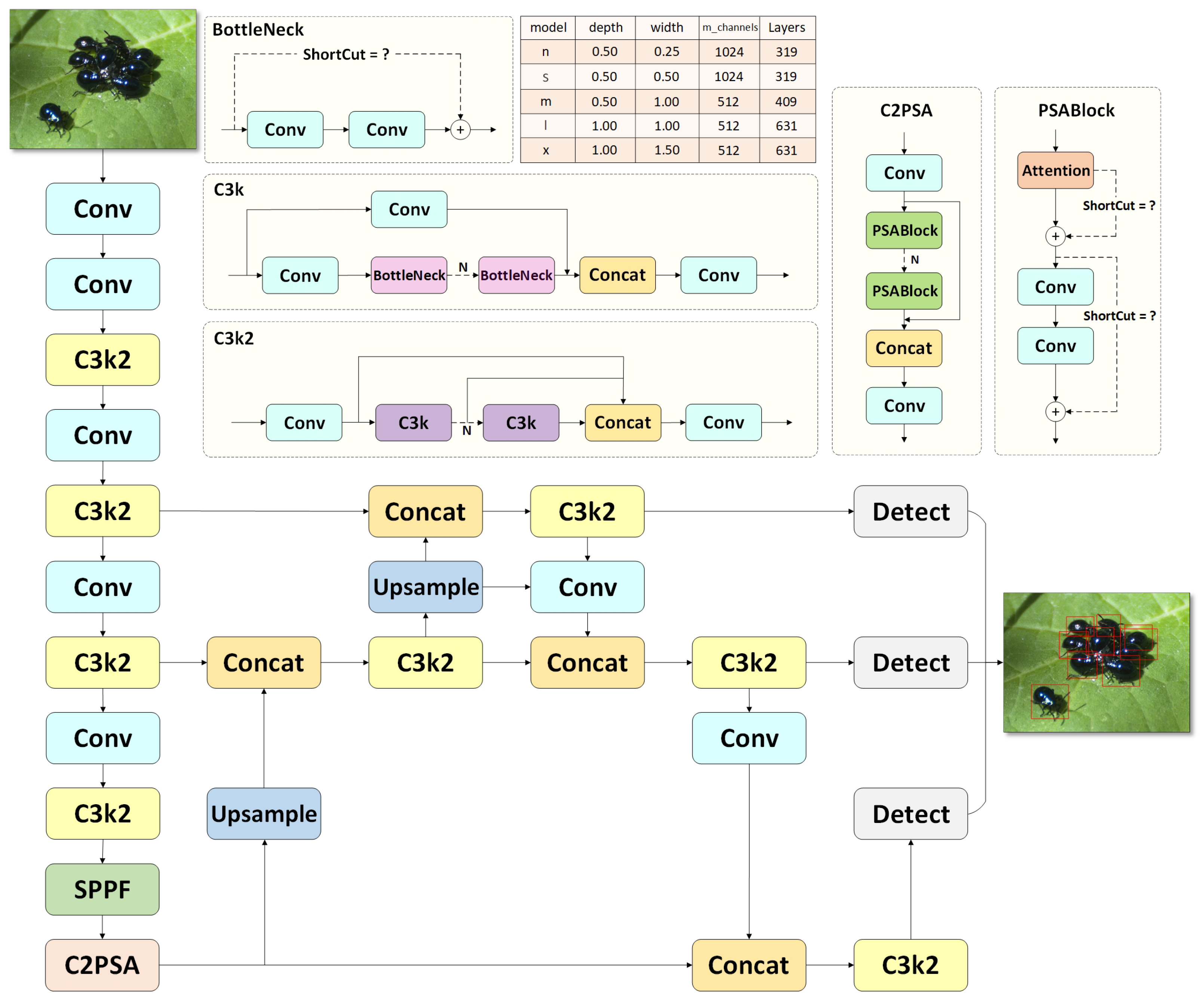 Insects 16 00102 g004