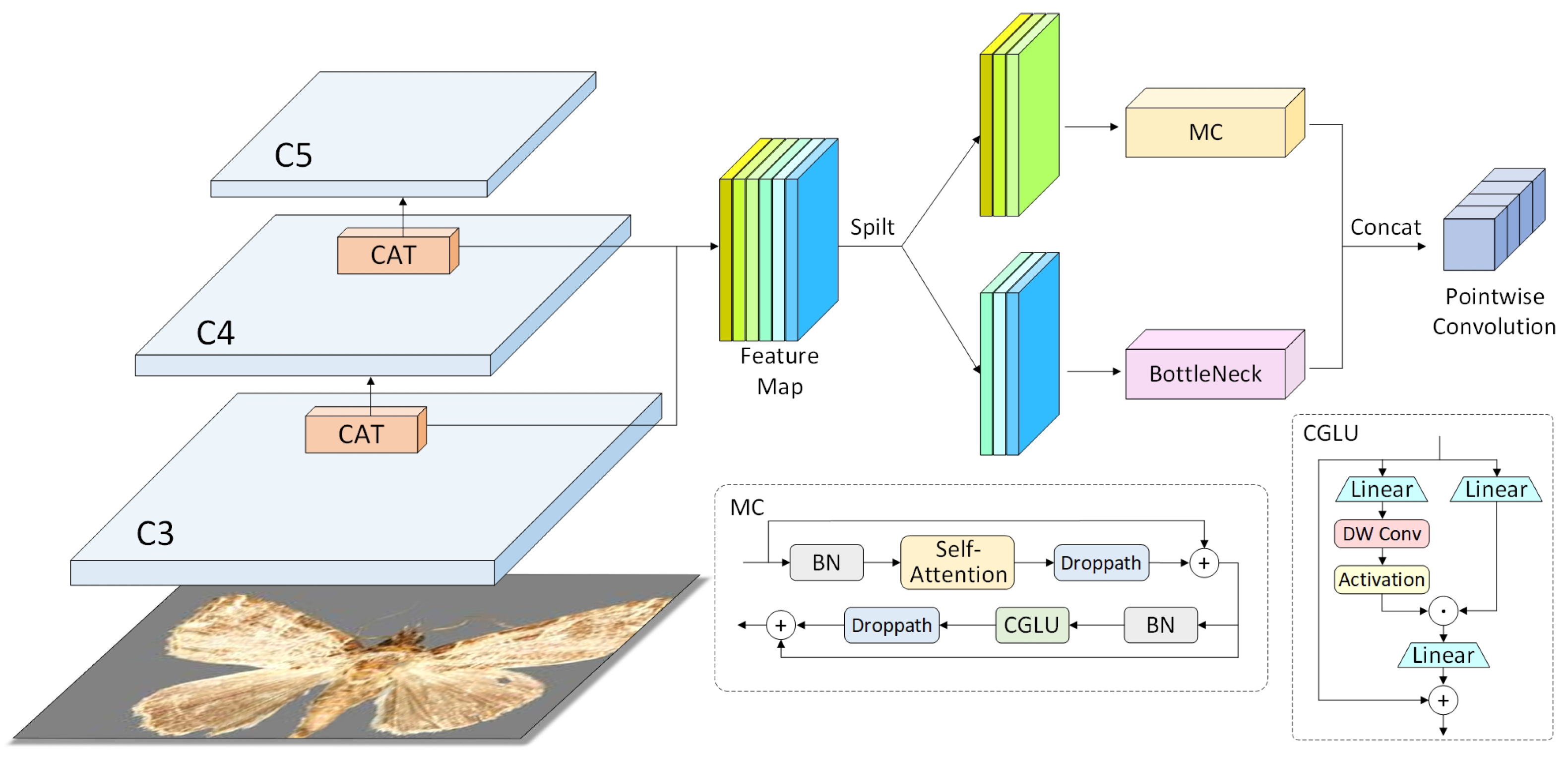 Insects 16 00102 g006