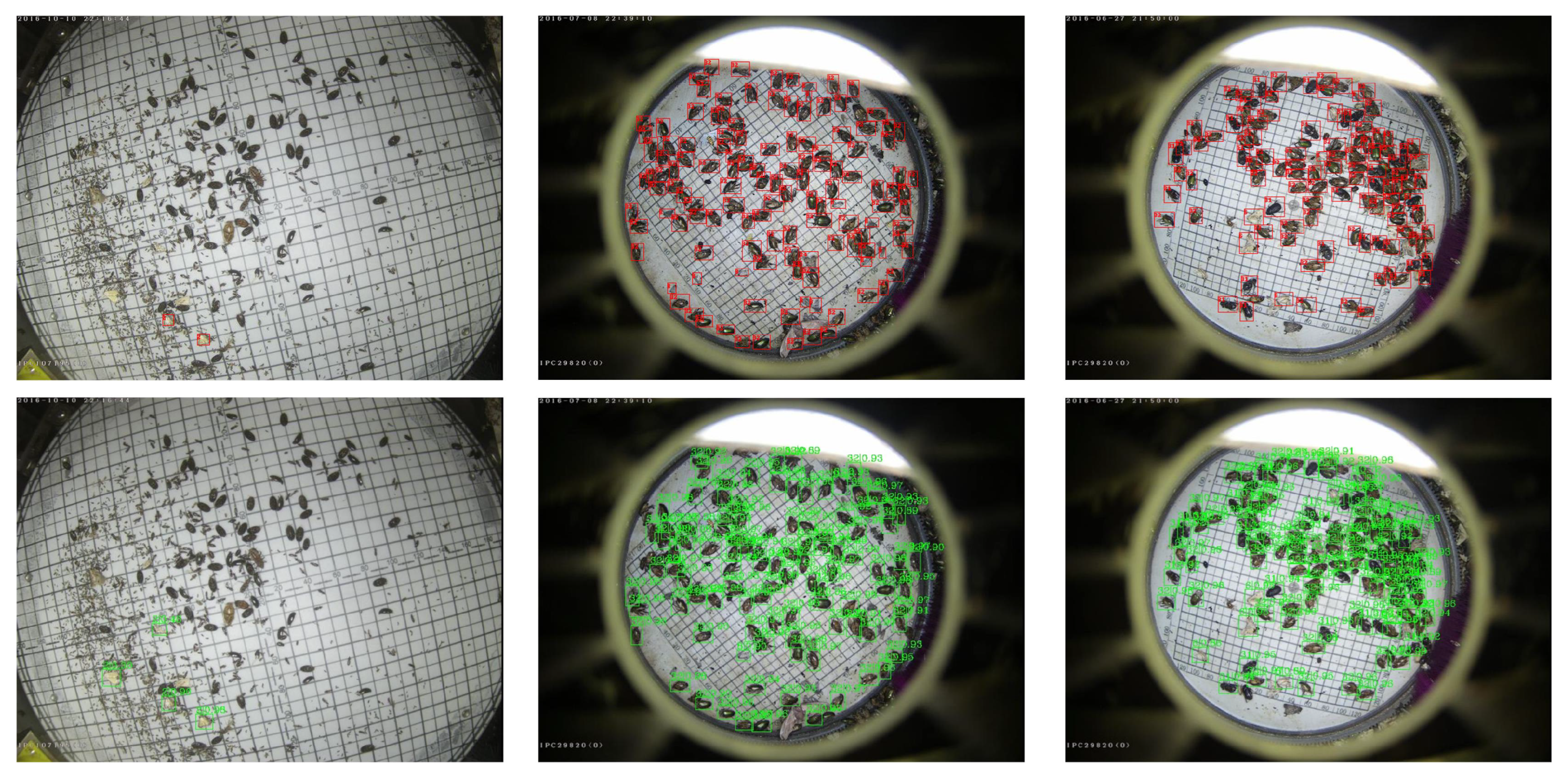 Insects 16 00103 g006