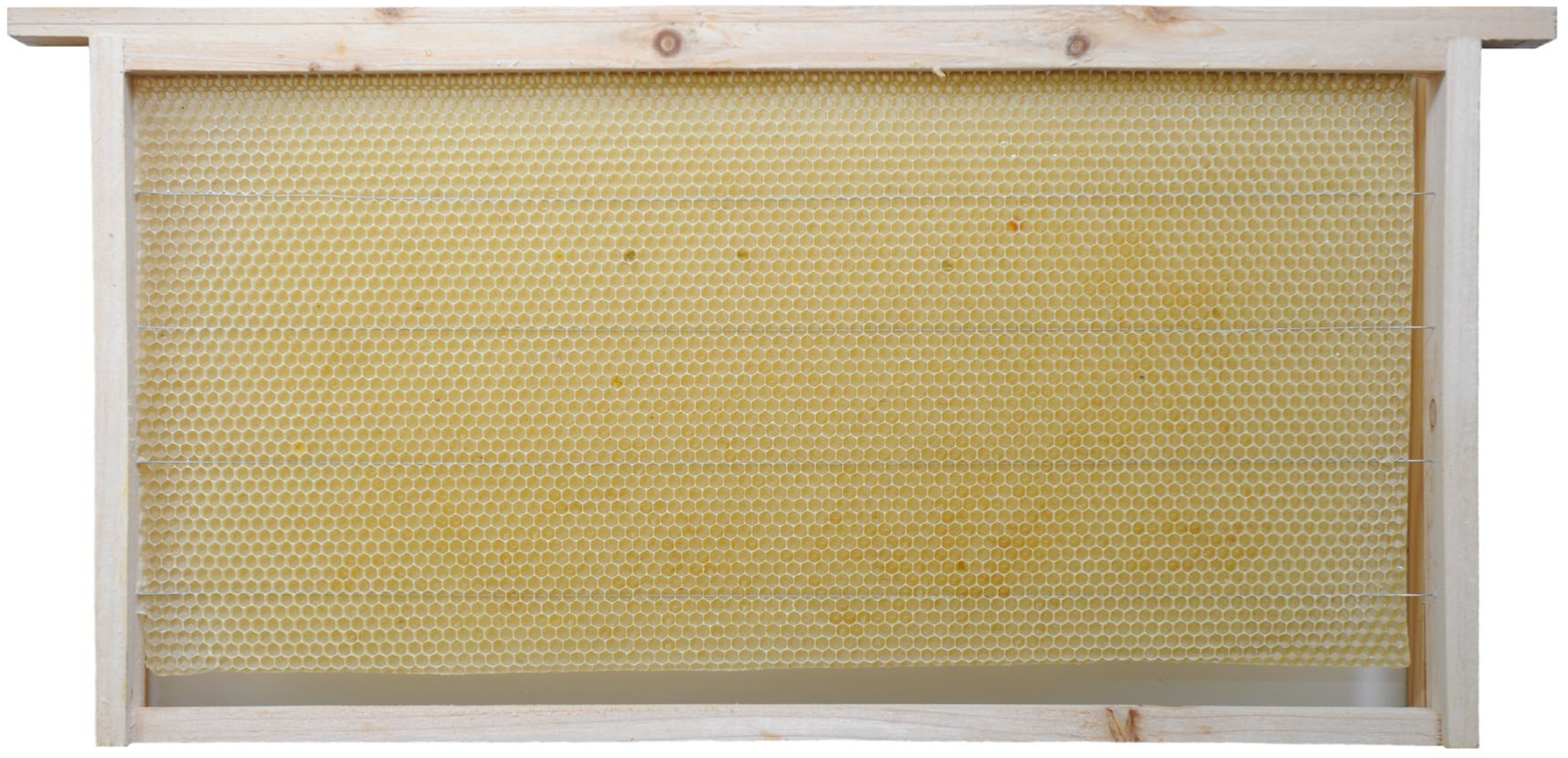 Insects 16 00104 g001 Insects 16 00104 g001