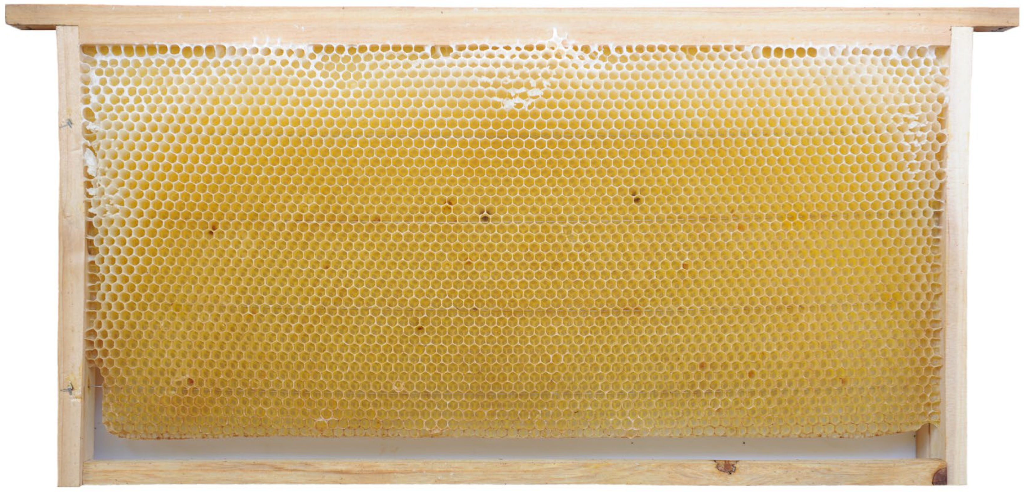 Insects 16 00104 g002 Insects 16 00104 g002