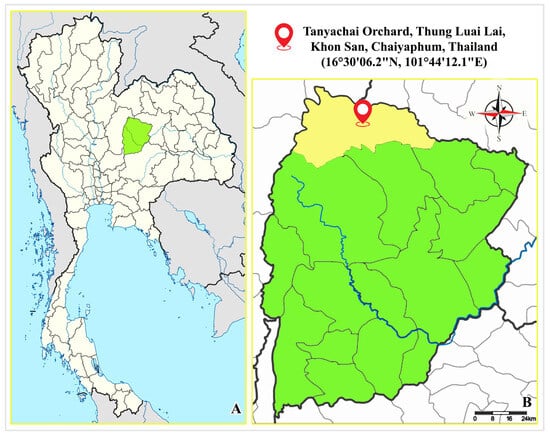 Insects 16 00105 g001