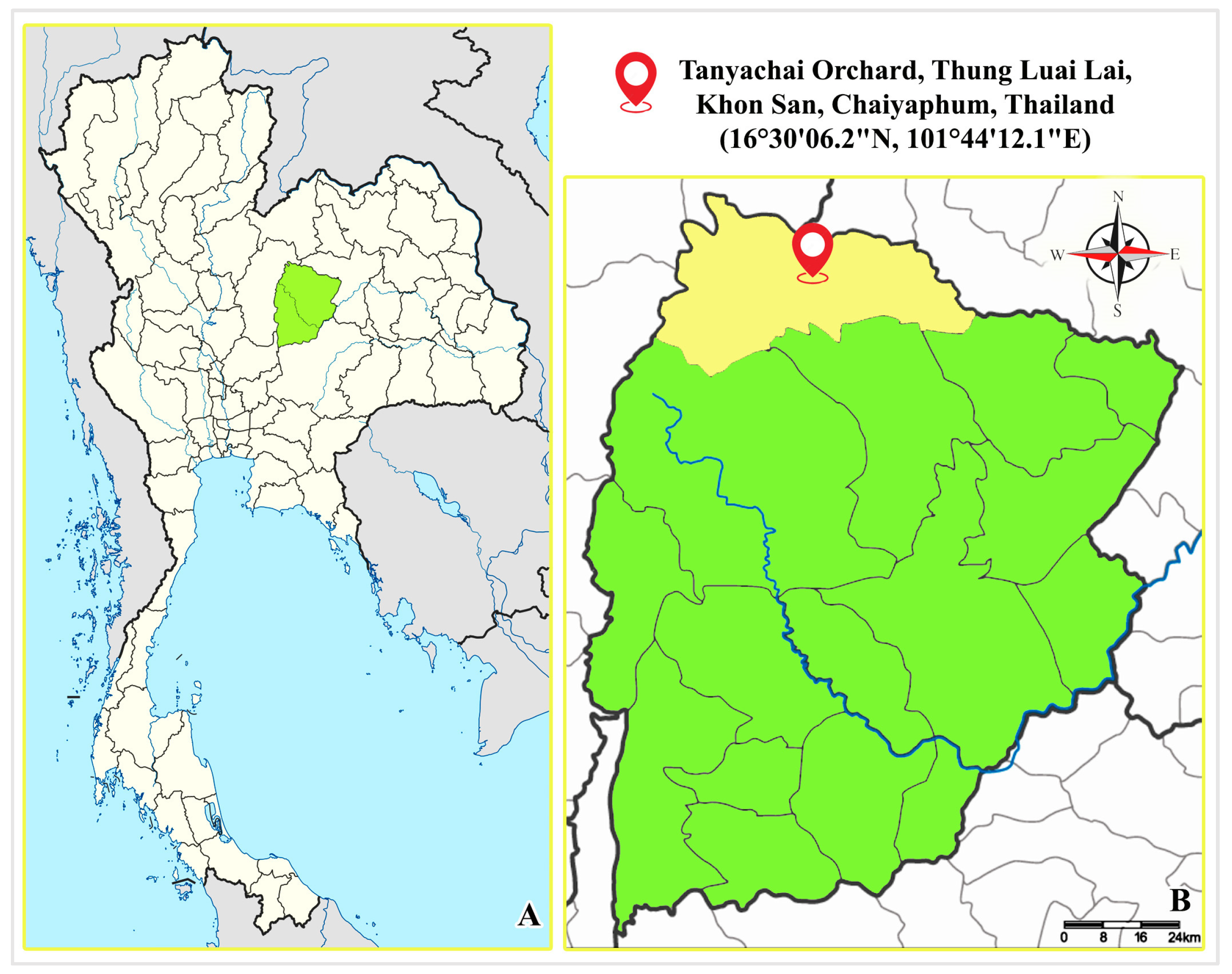 Insects 16 00105 g001