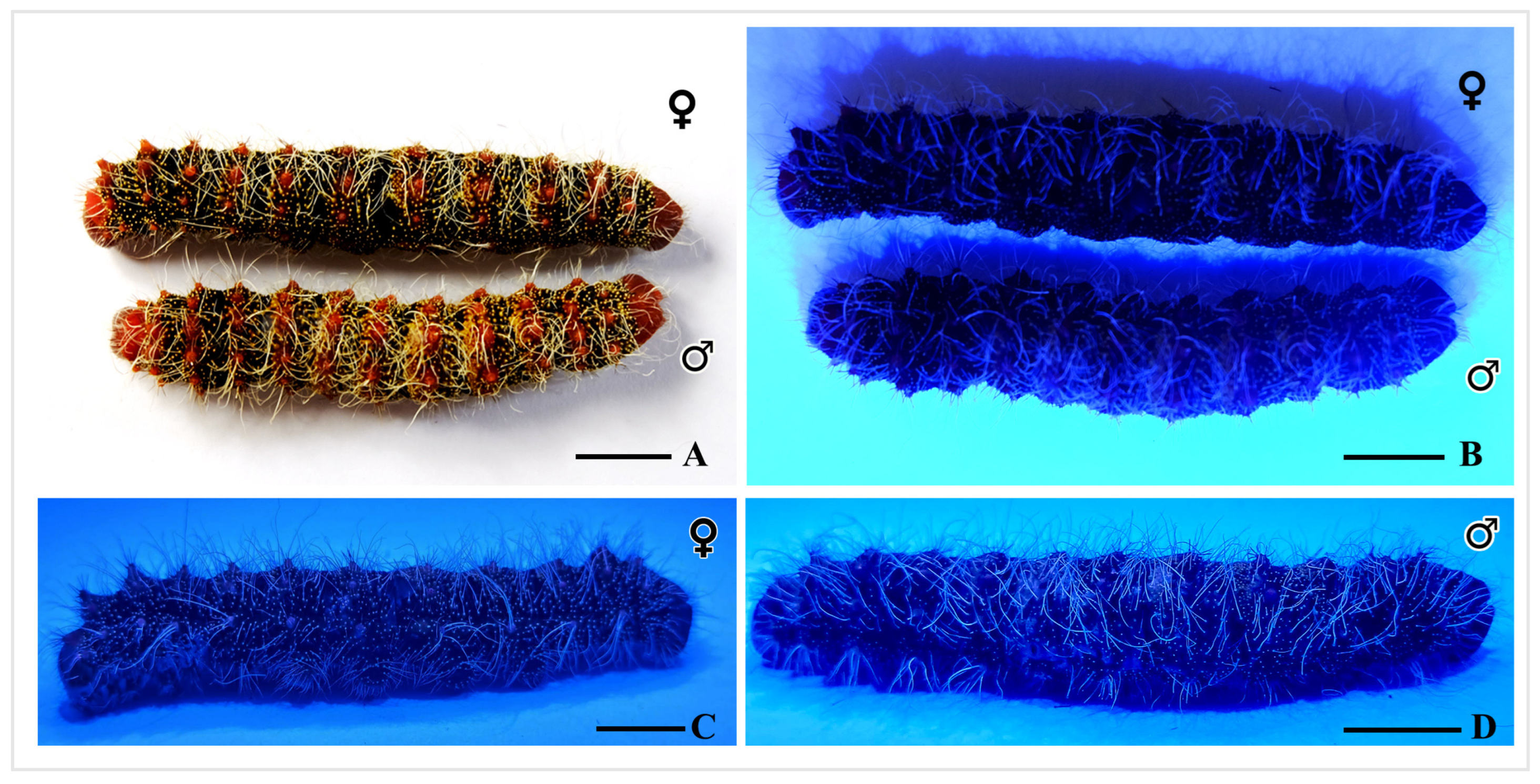 Insects 16 00105 g009