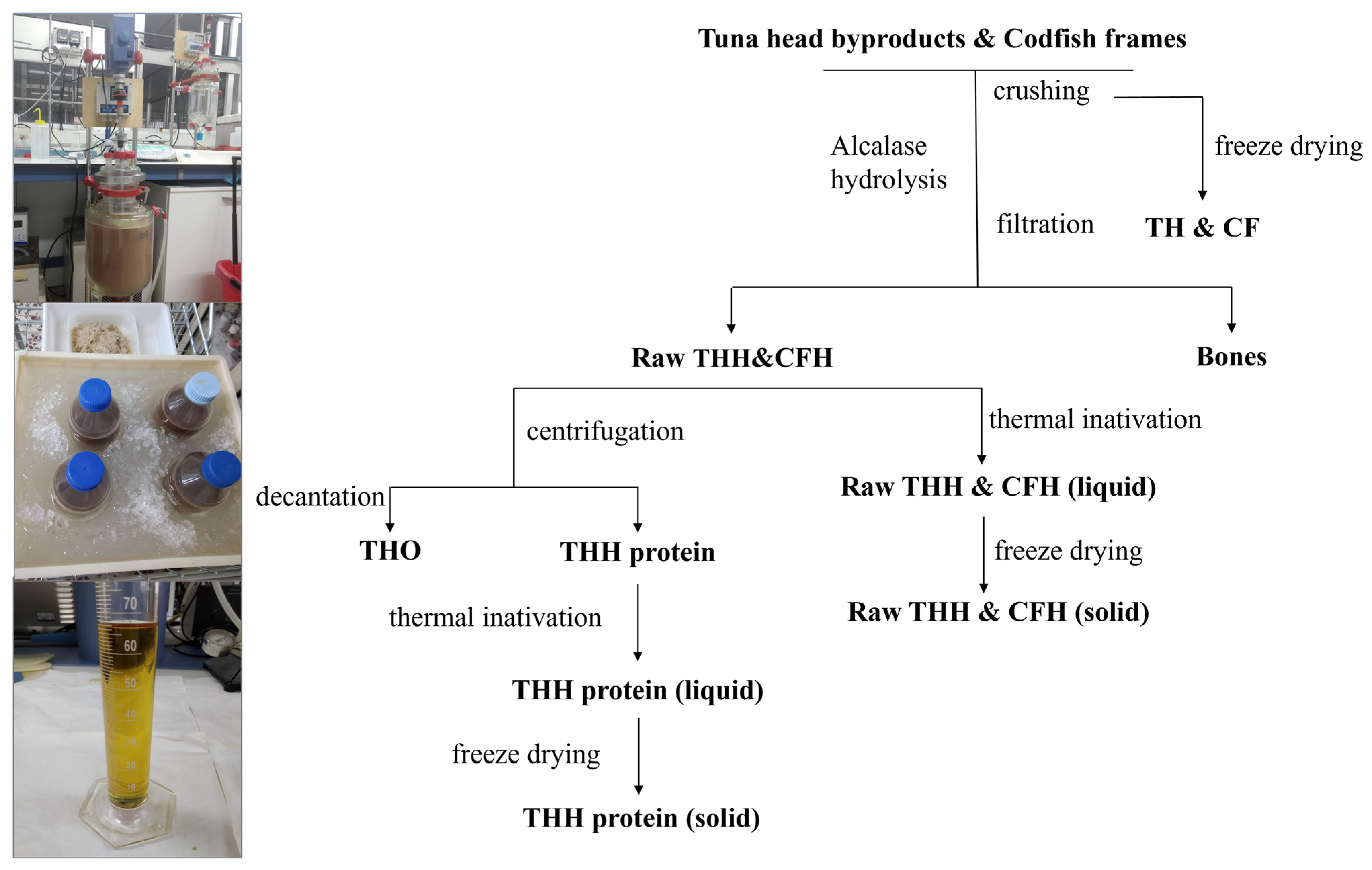 Insects 16 00113 g001