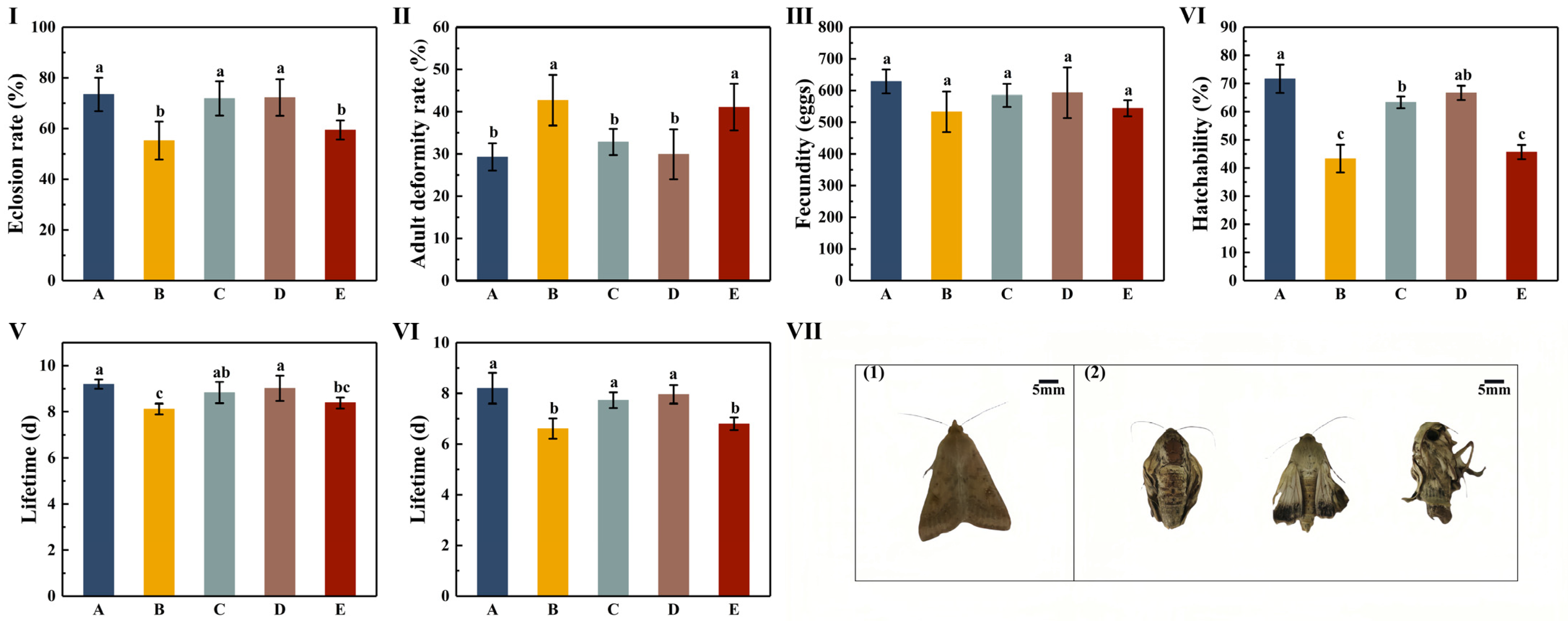 Insects 16 00115 g004