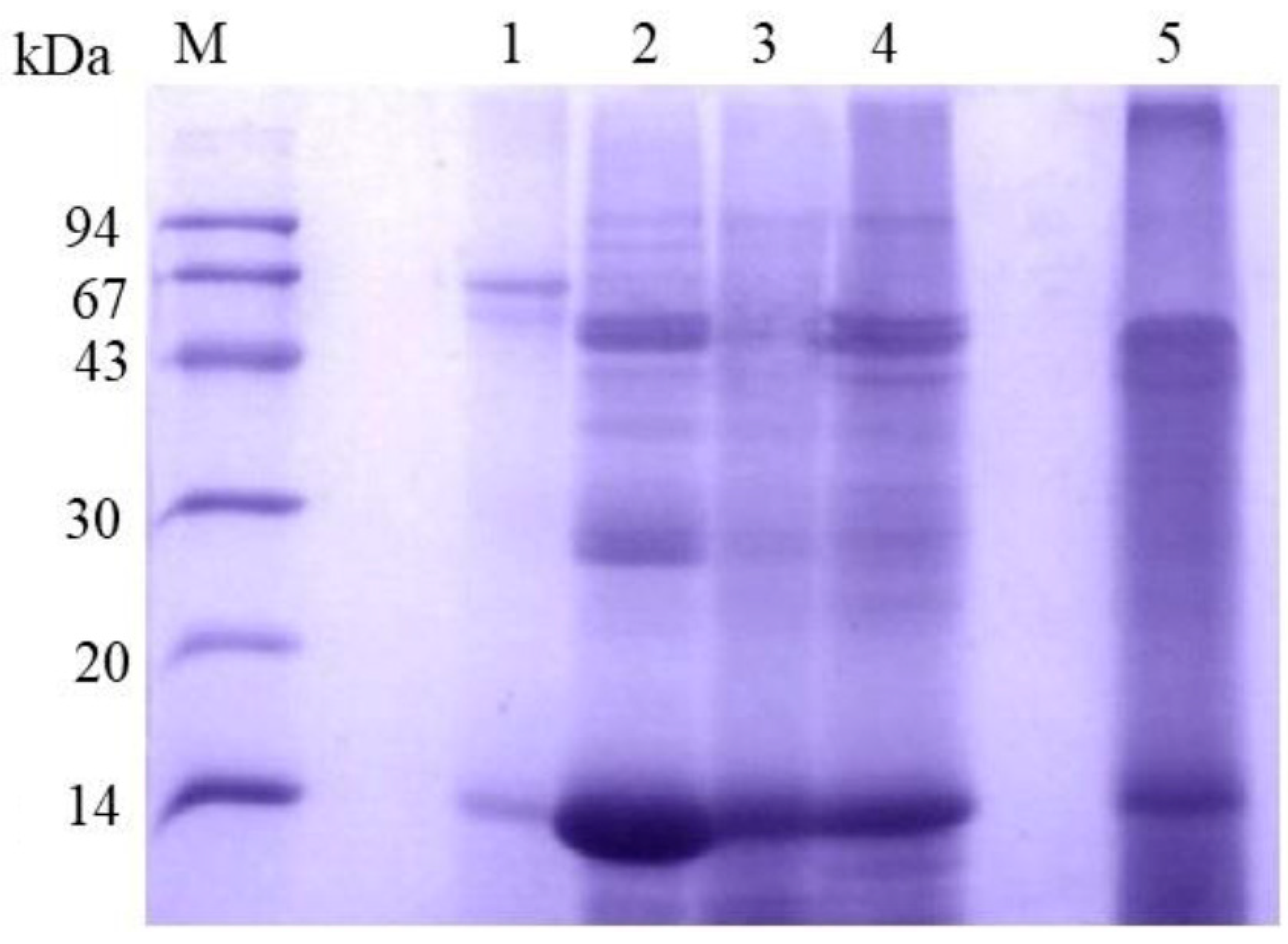 Insects 16 00116 g002