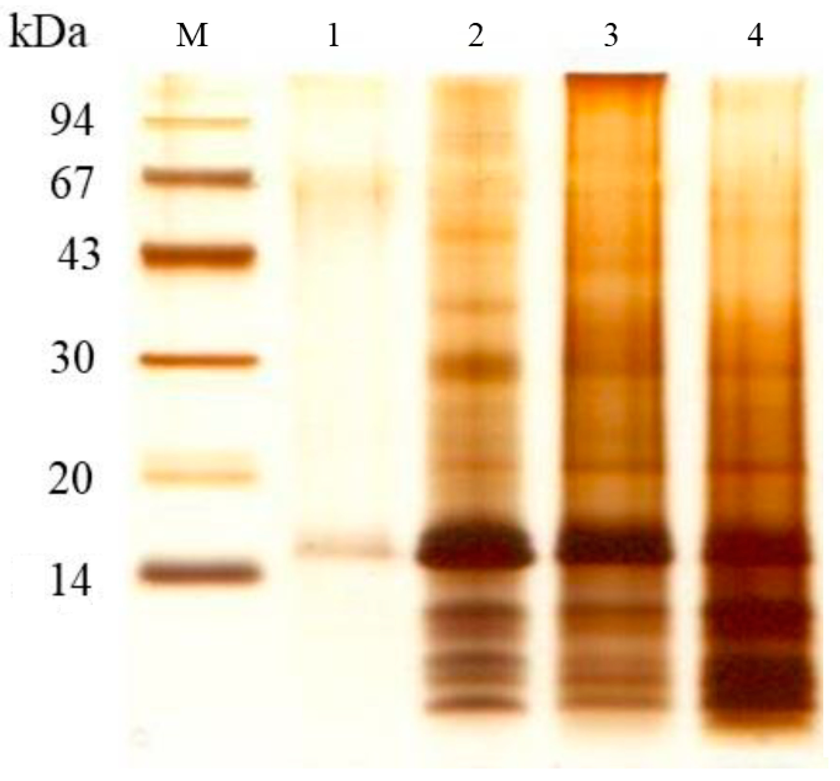 Insects 16 00116 g003
