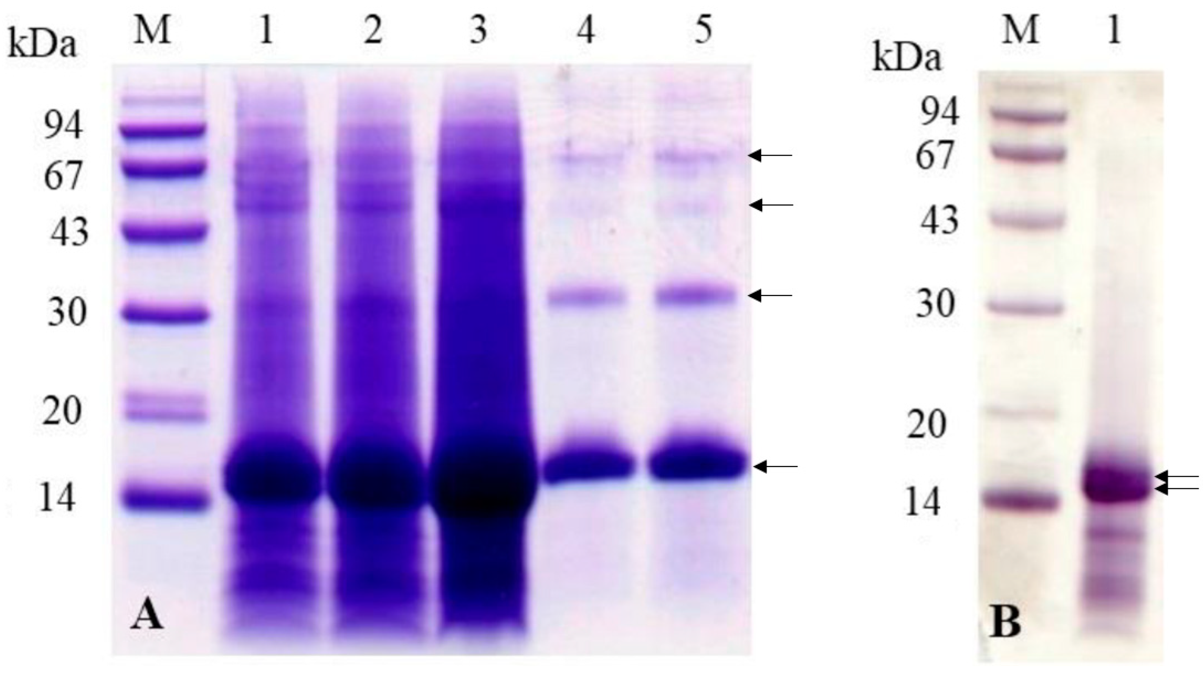 Insects 16 00116 g004