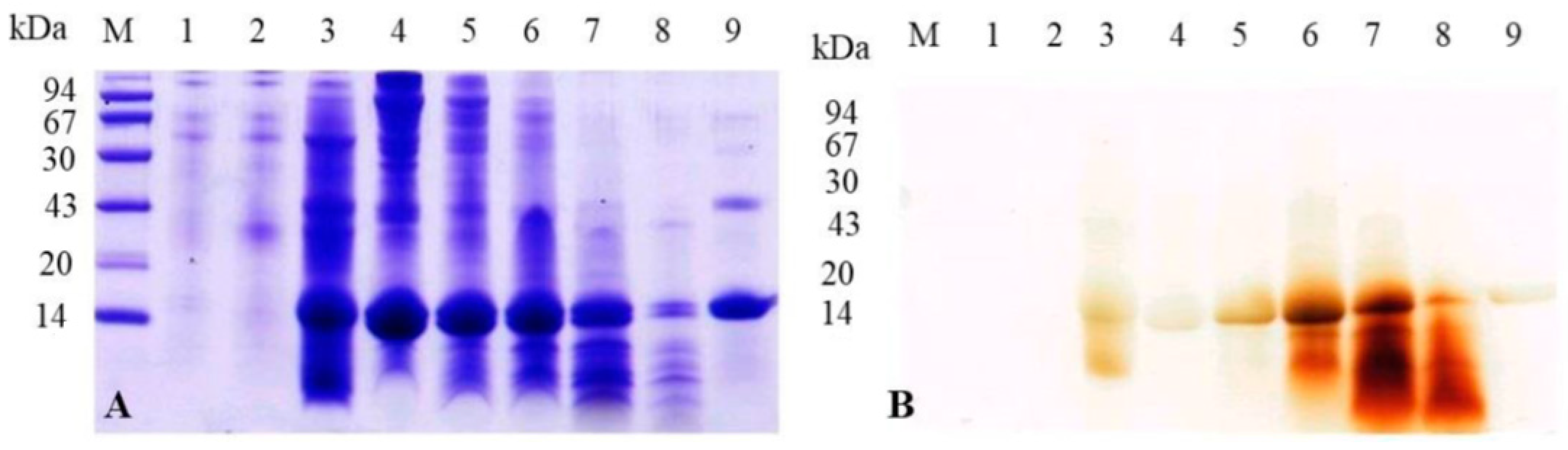 Insects 16 00116 g008