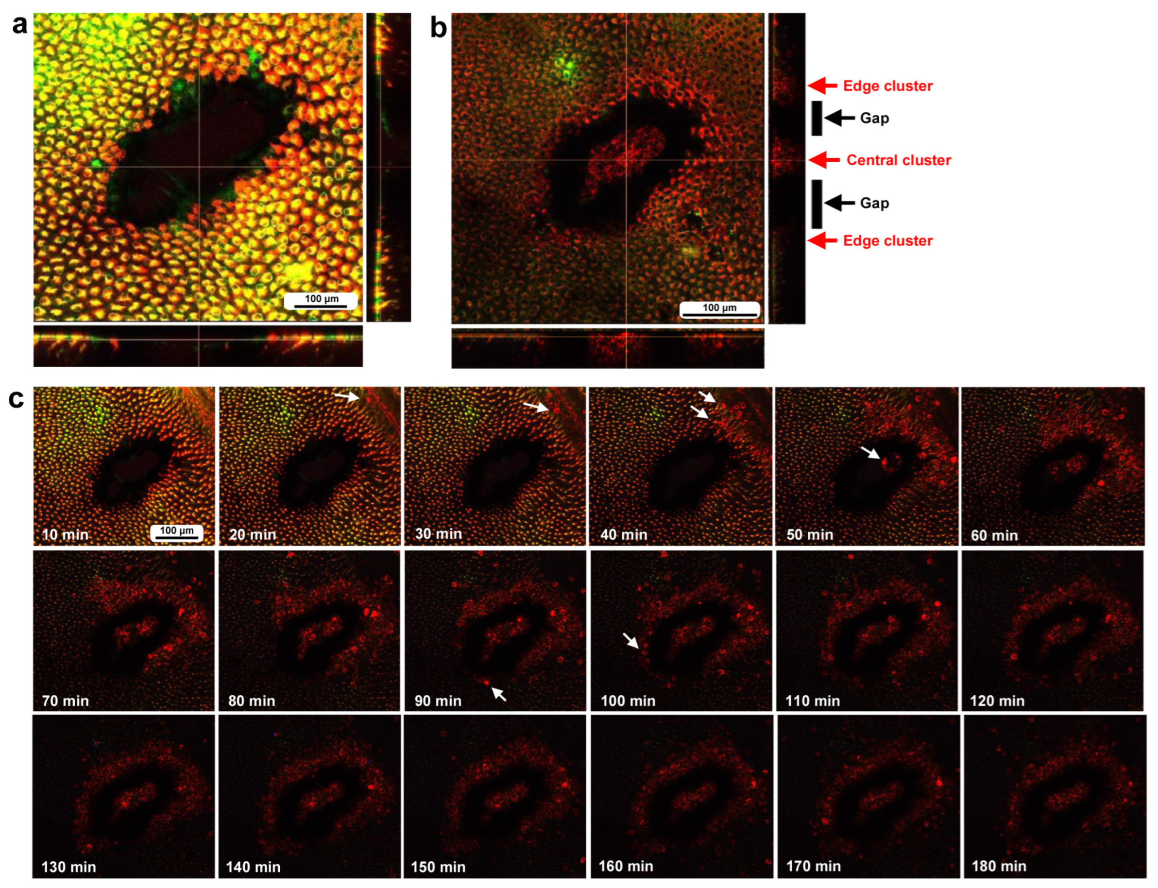 Insects 16 00124 g004