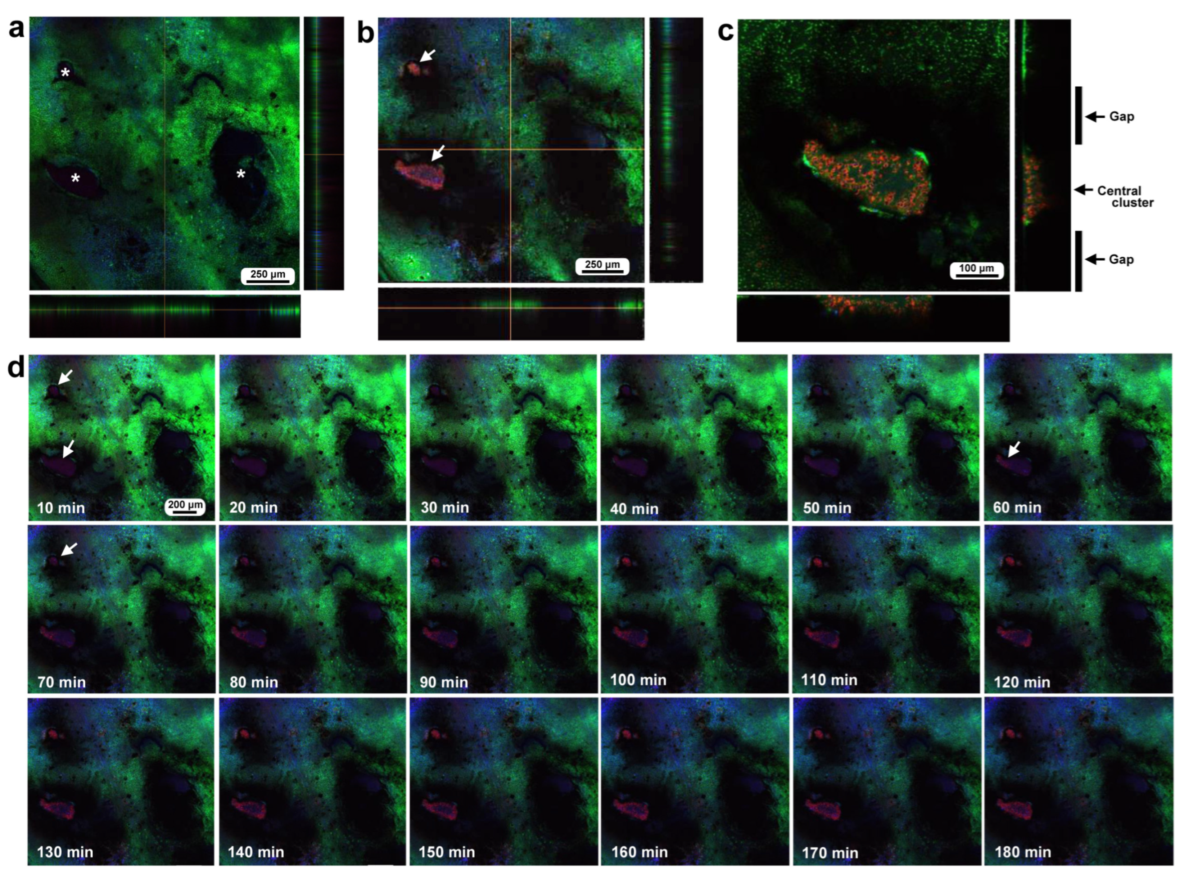 Insects 16 00124 g005