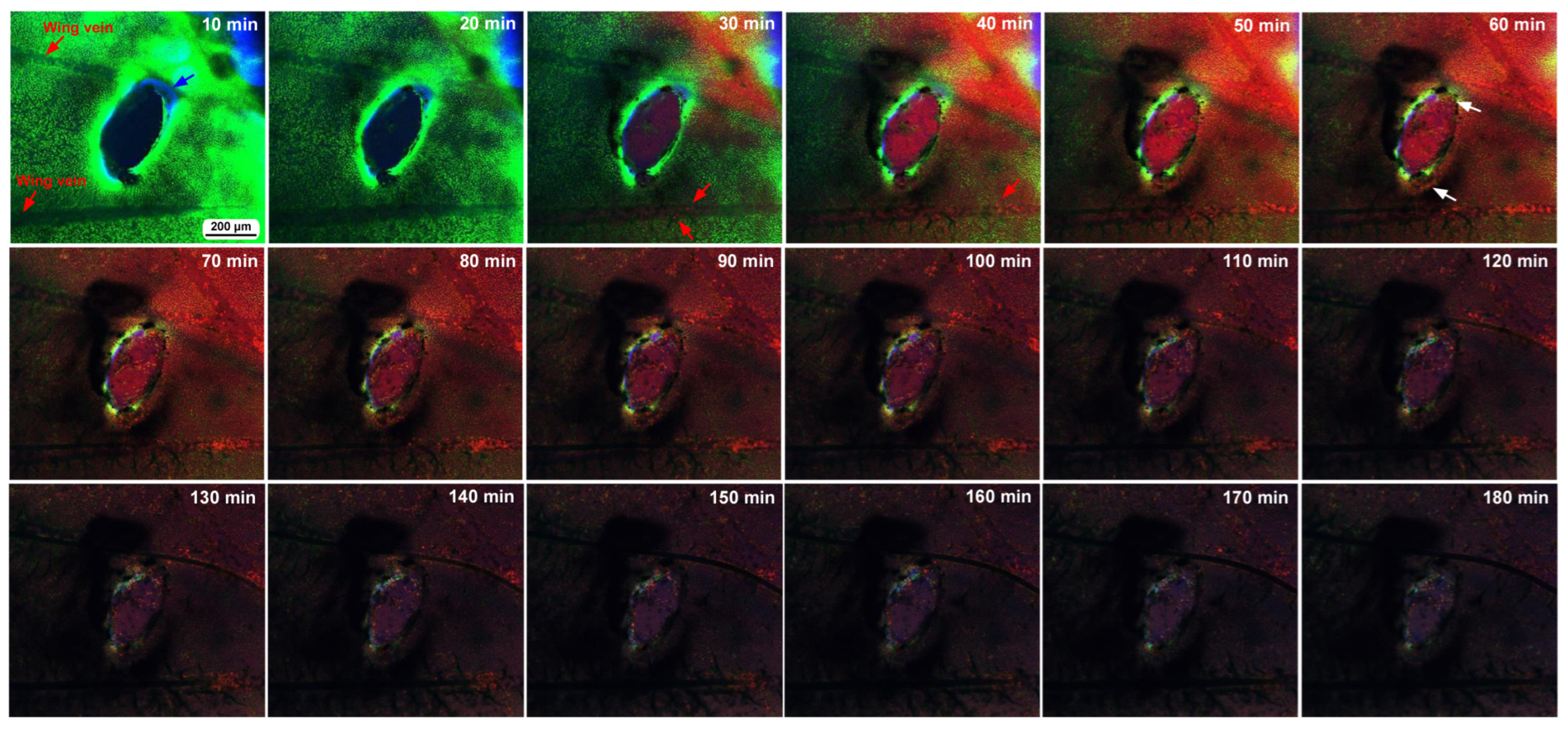 Insects 16 00124 g008