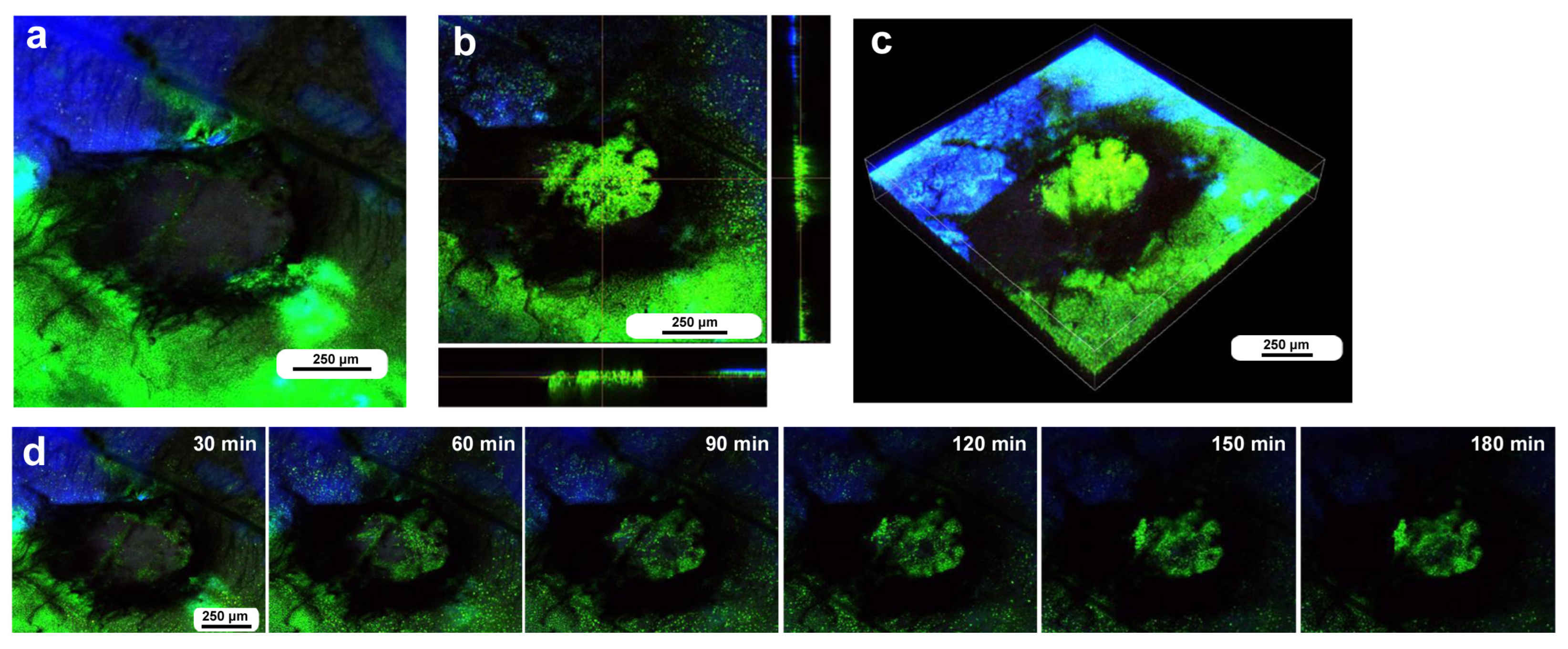 Insects 16 00124 g009