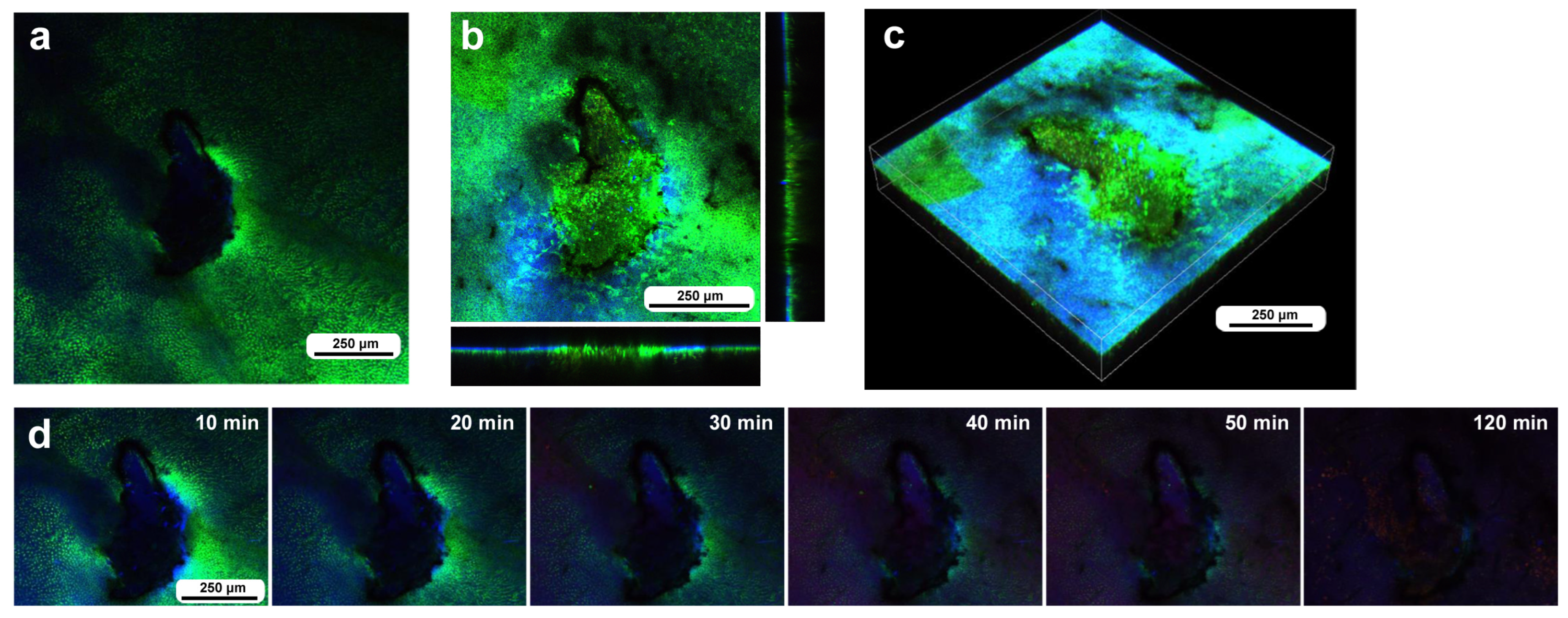 Insects 16 00124 g010