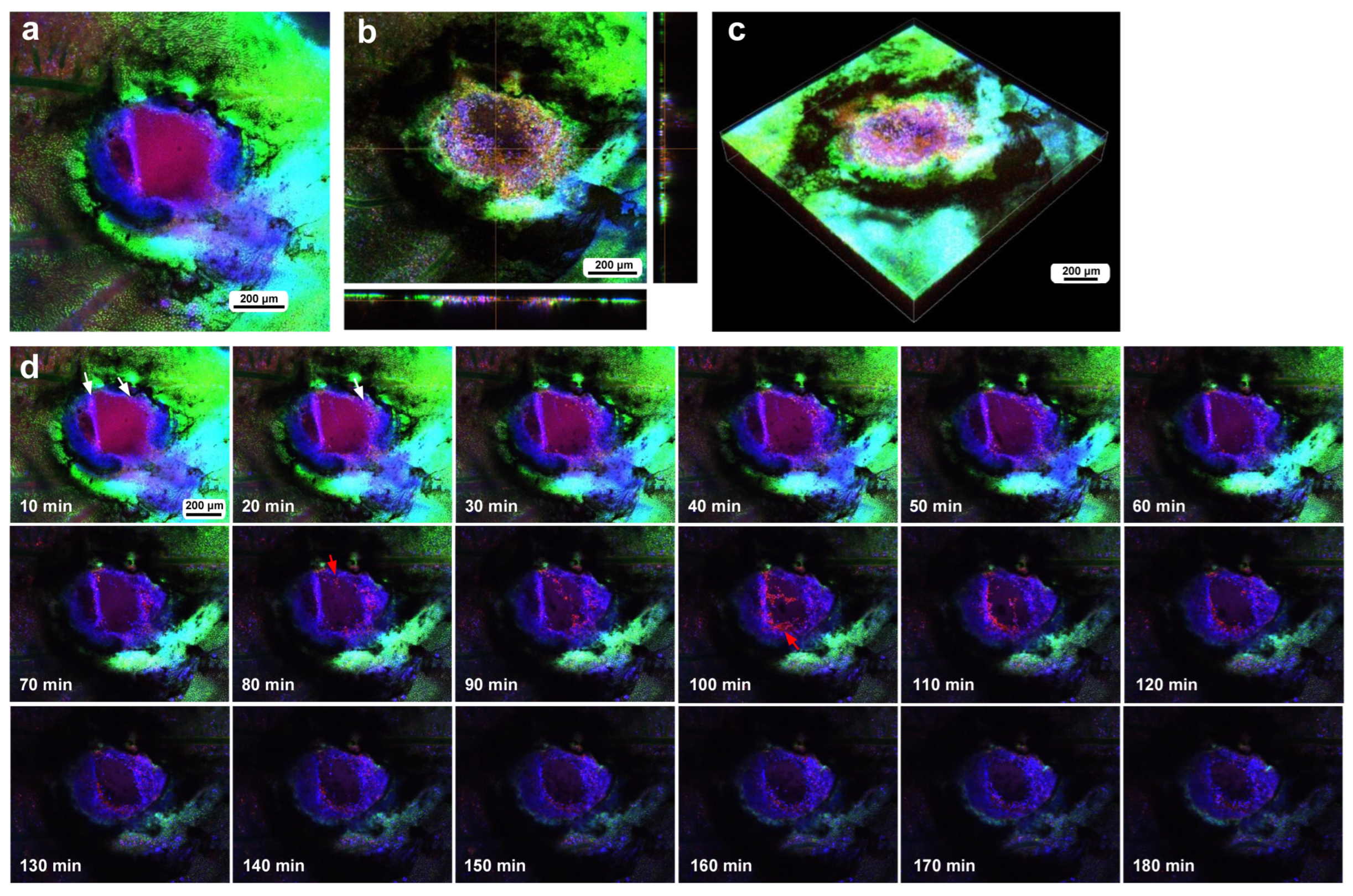 Insects 16 00124 g011