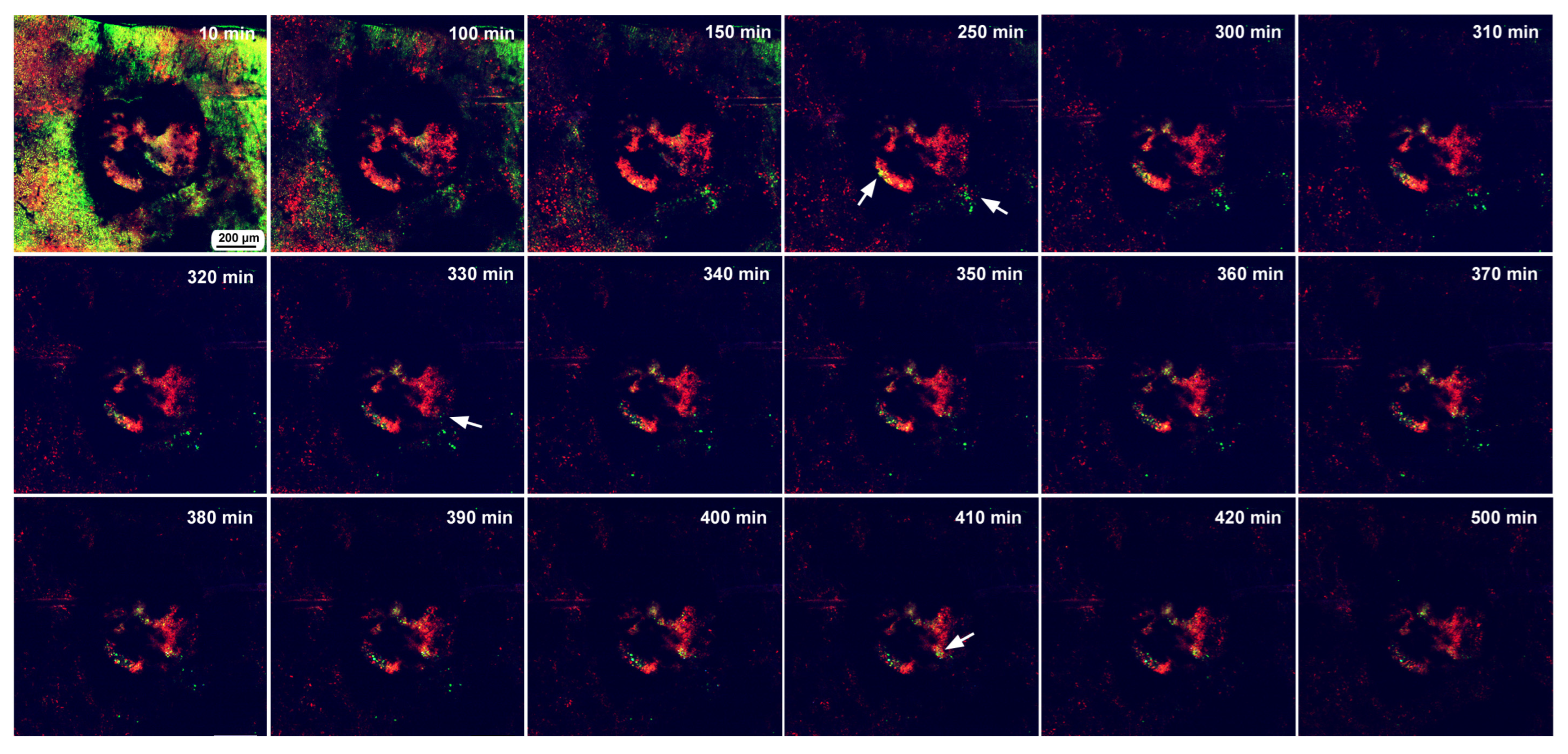 Insects 16 00124 g012