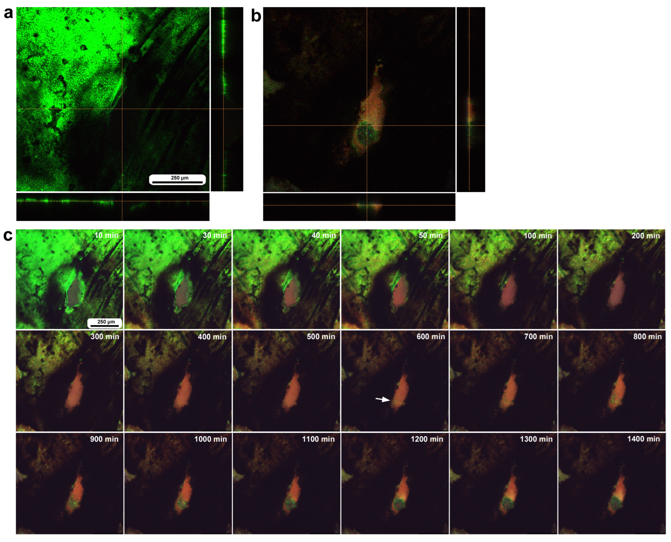 Insects 16 00124 g013