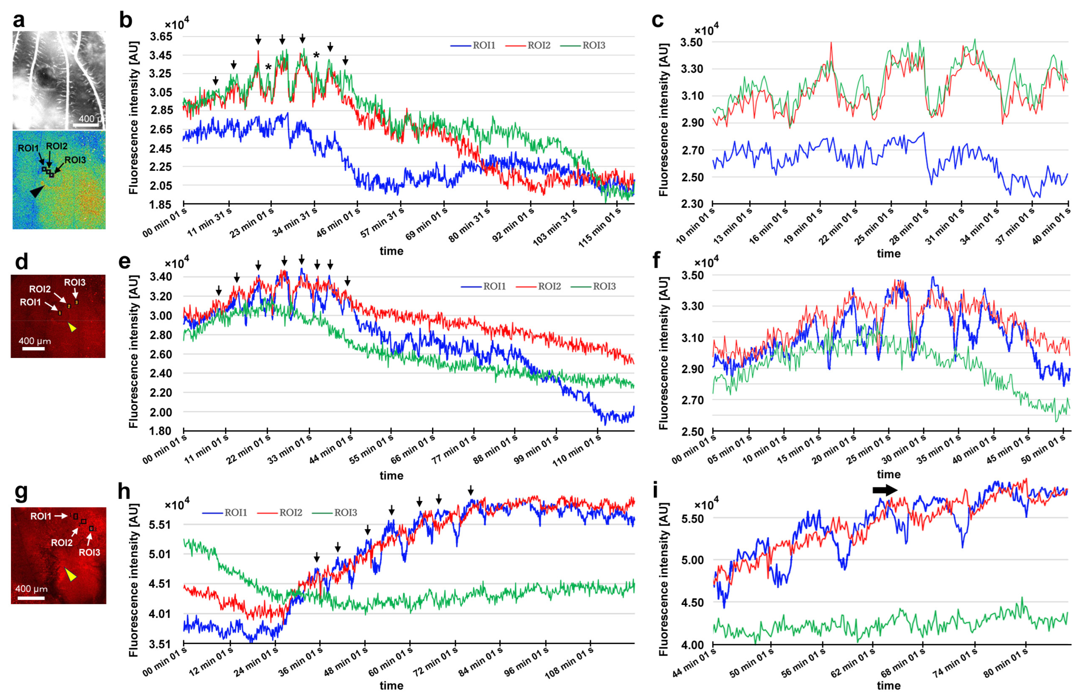 Insects 16 00124 g014