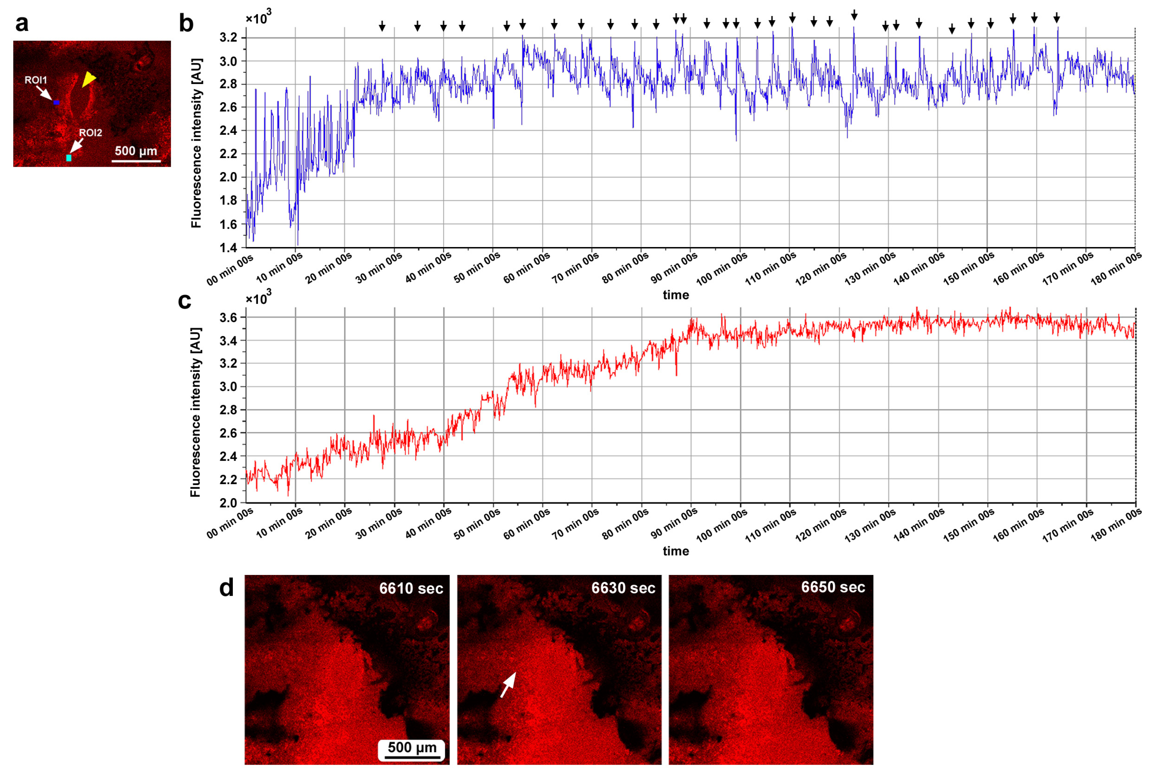 Insects 16 00124 g015