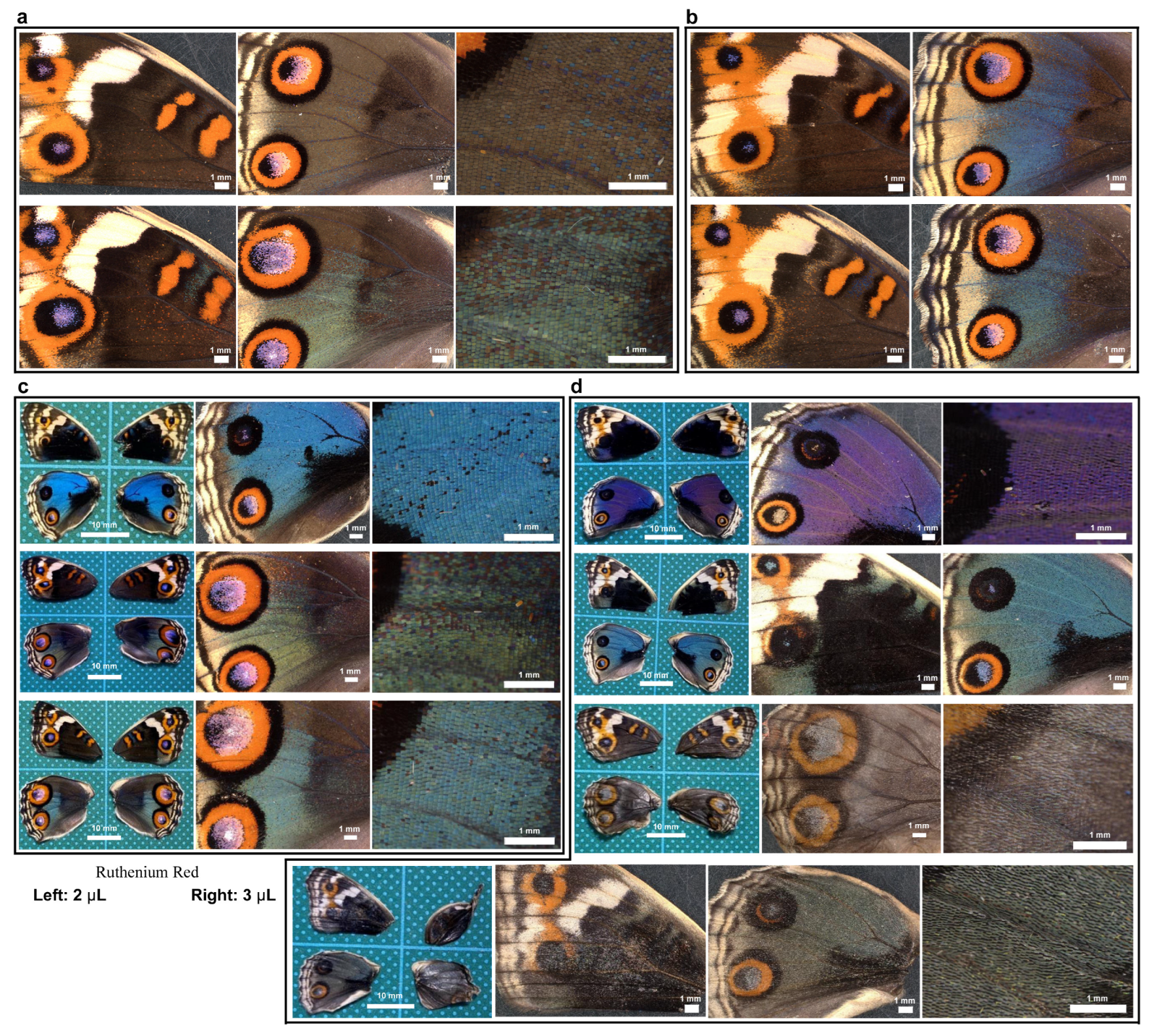 Insects 16 00124 g018